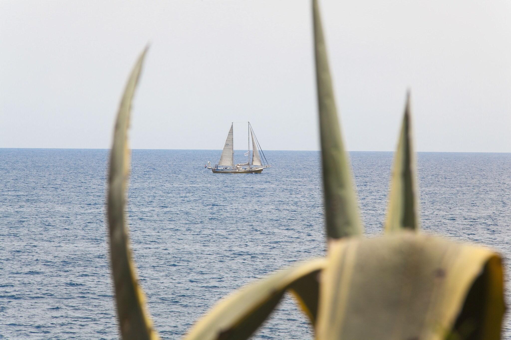 Hotel Bendinat, photo 20 of 67