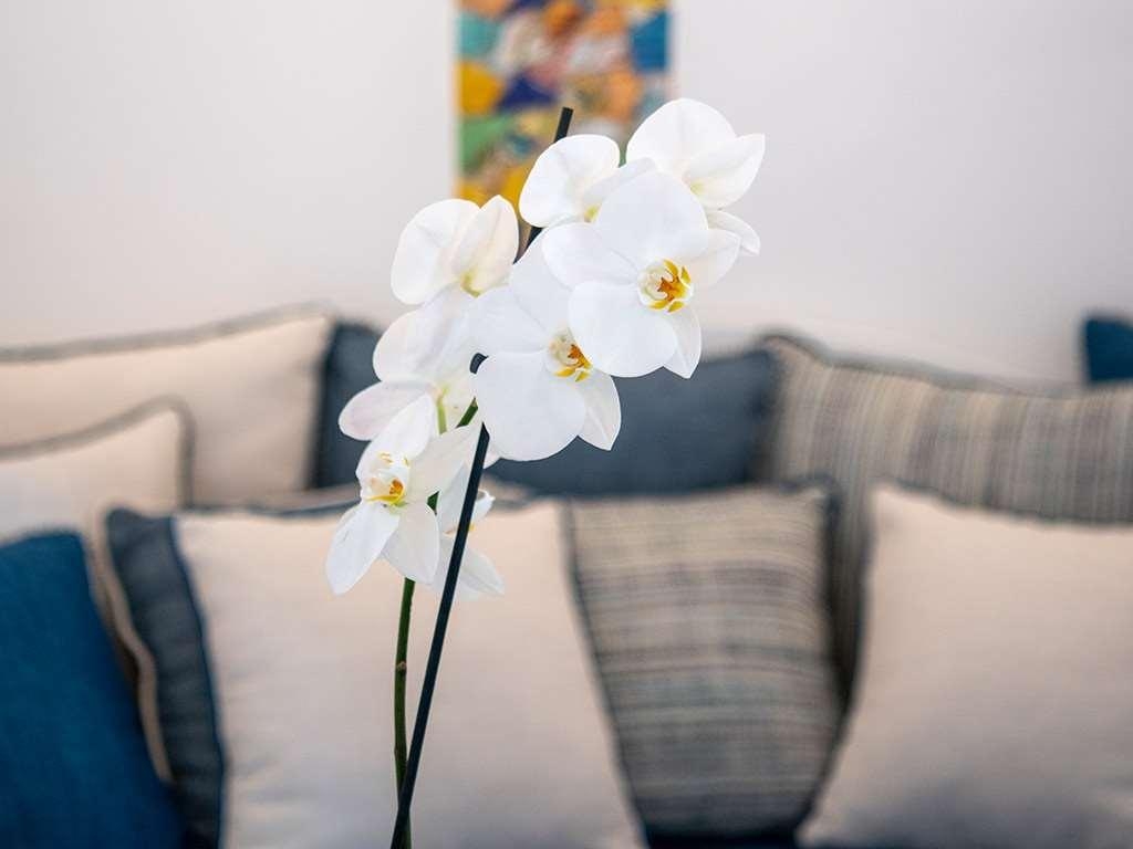 Positano Art Hotel Pasitea, photo 57 of 71