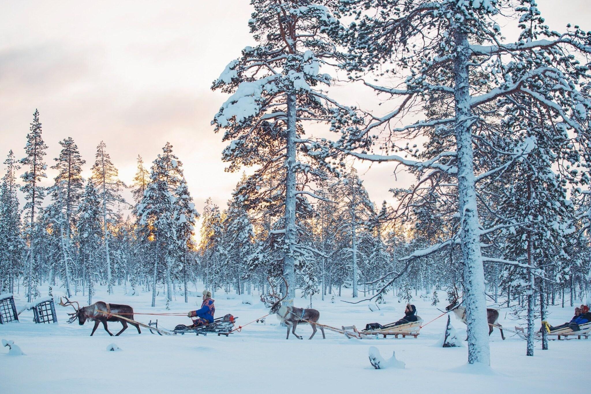Kakslauttanen Arctic Resort, photo 61 of 70