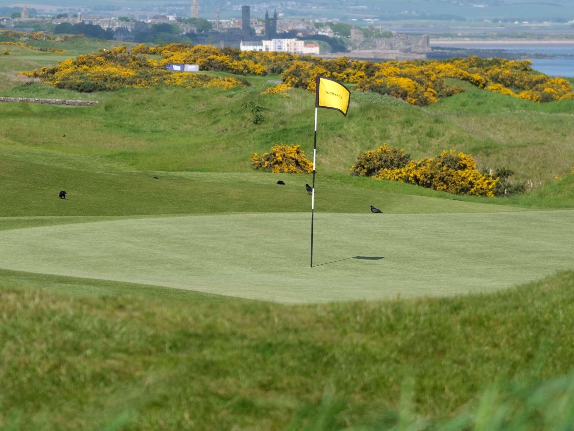 Fairmont St Andrews - Scotland, photo 188 of 199