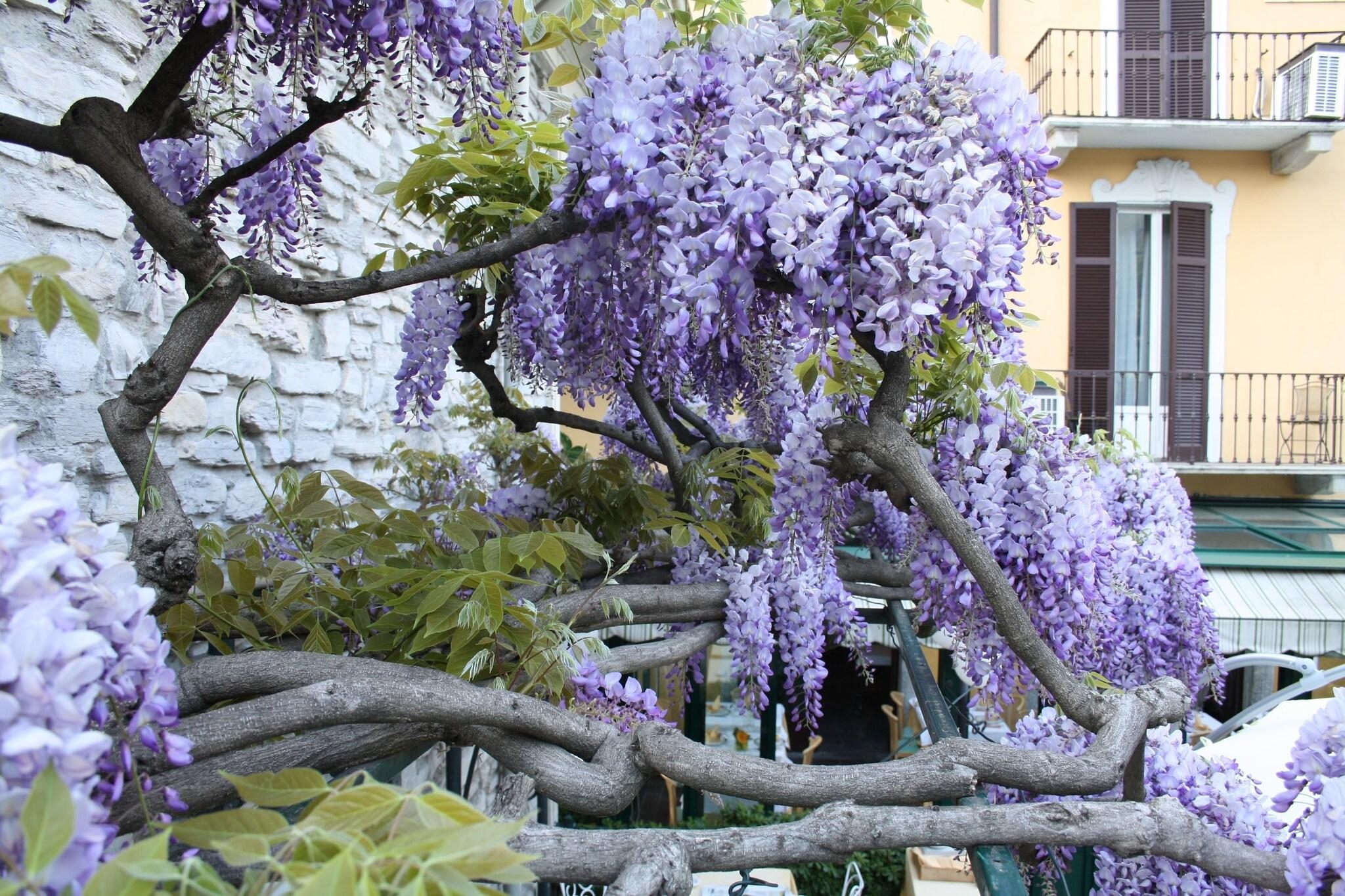 Hotel Posta Moltrasio, photo 132 of 135