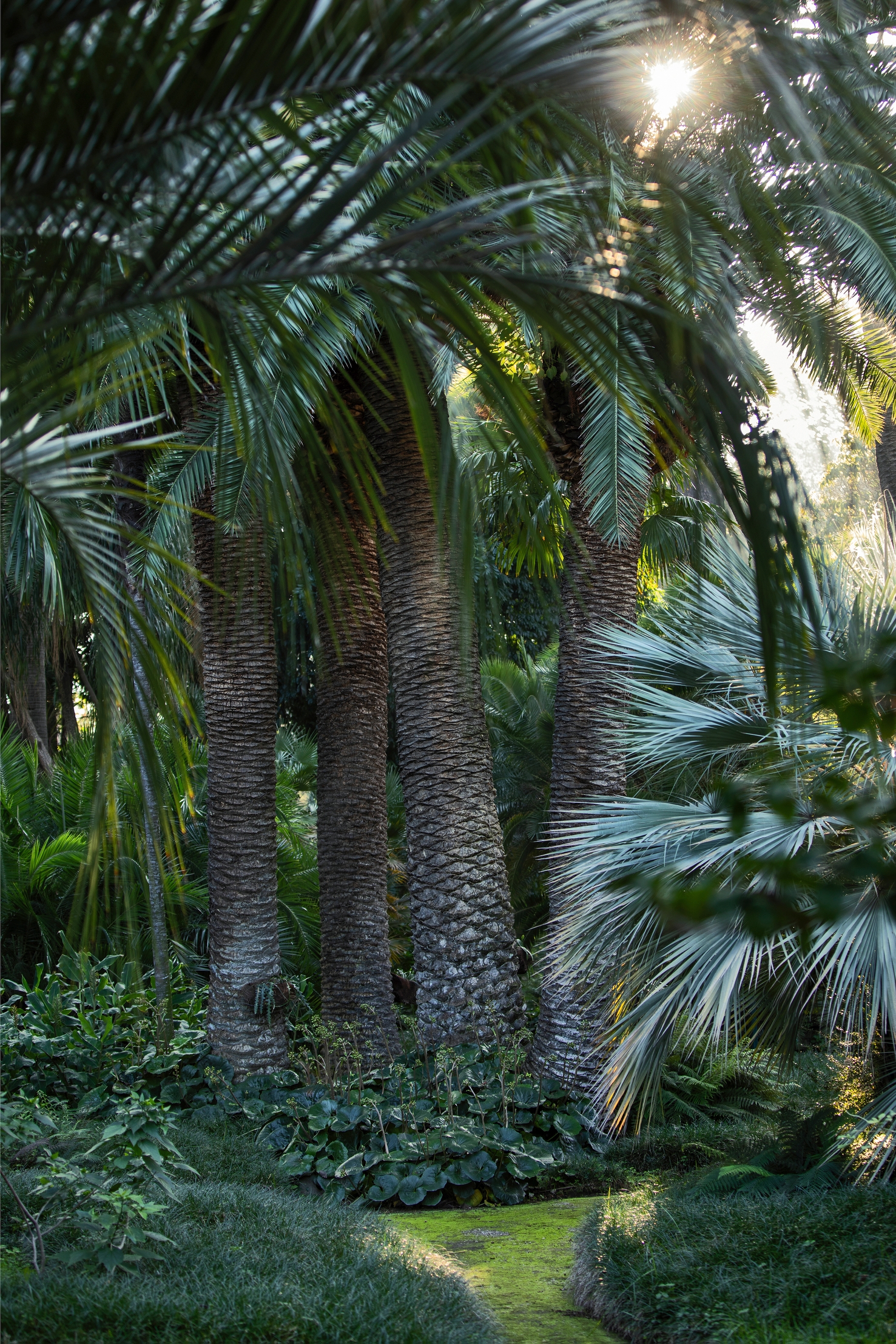 Parco dei Principi, photo 21 of 91