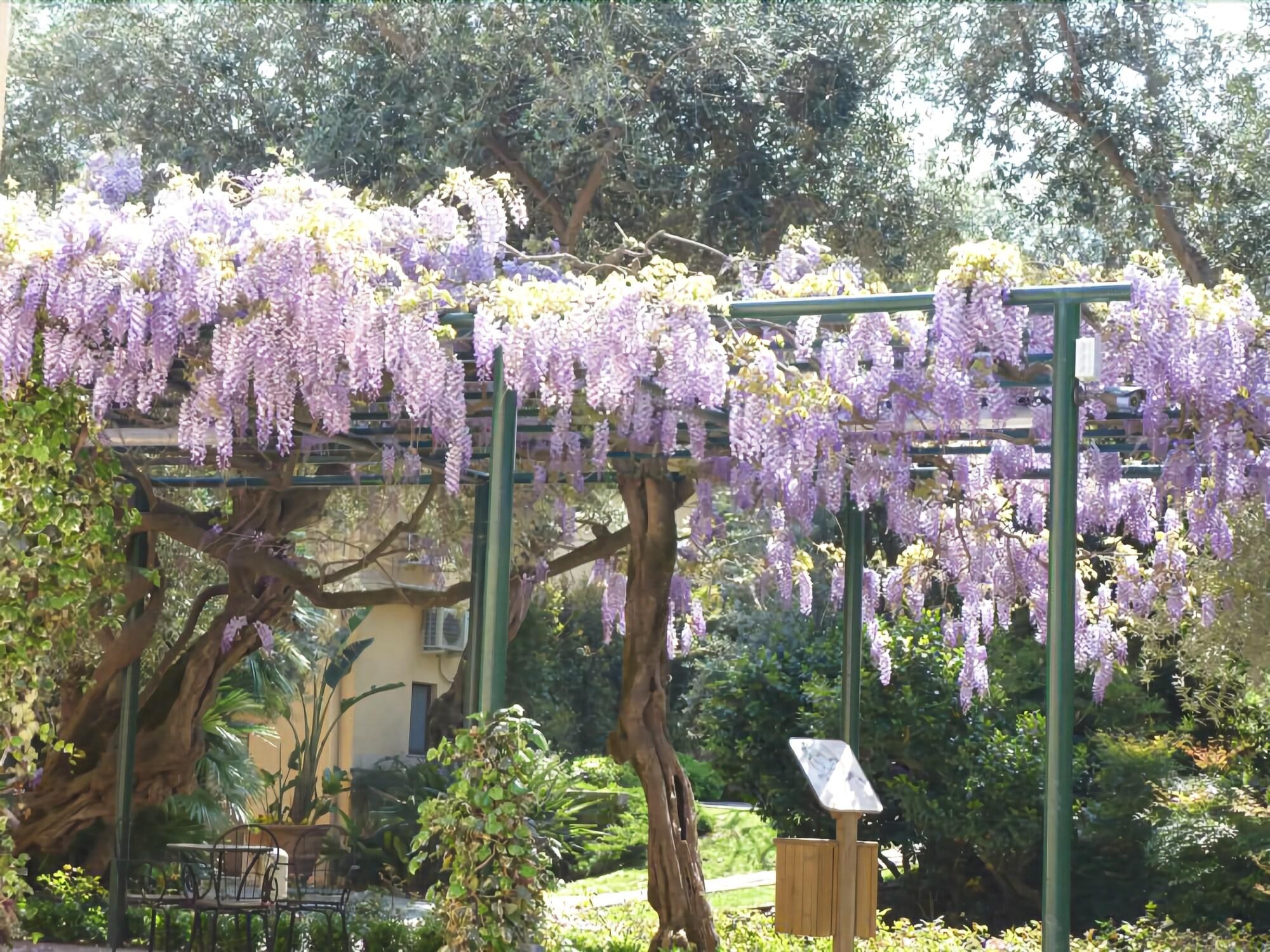 Villa Crawford, photo 10 of 94