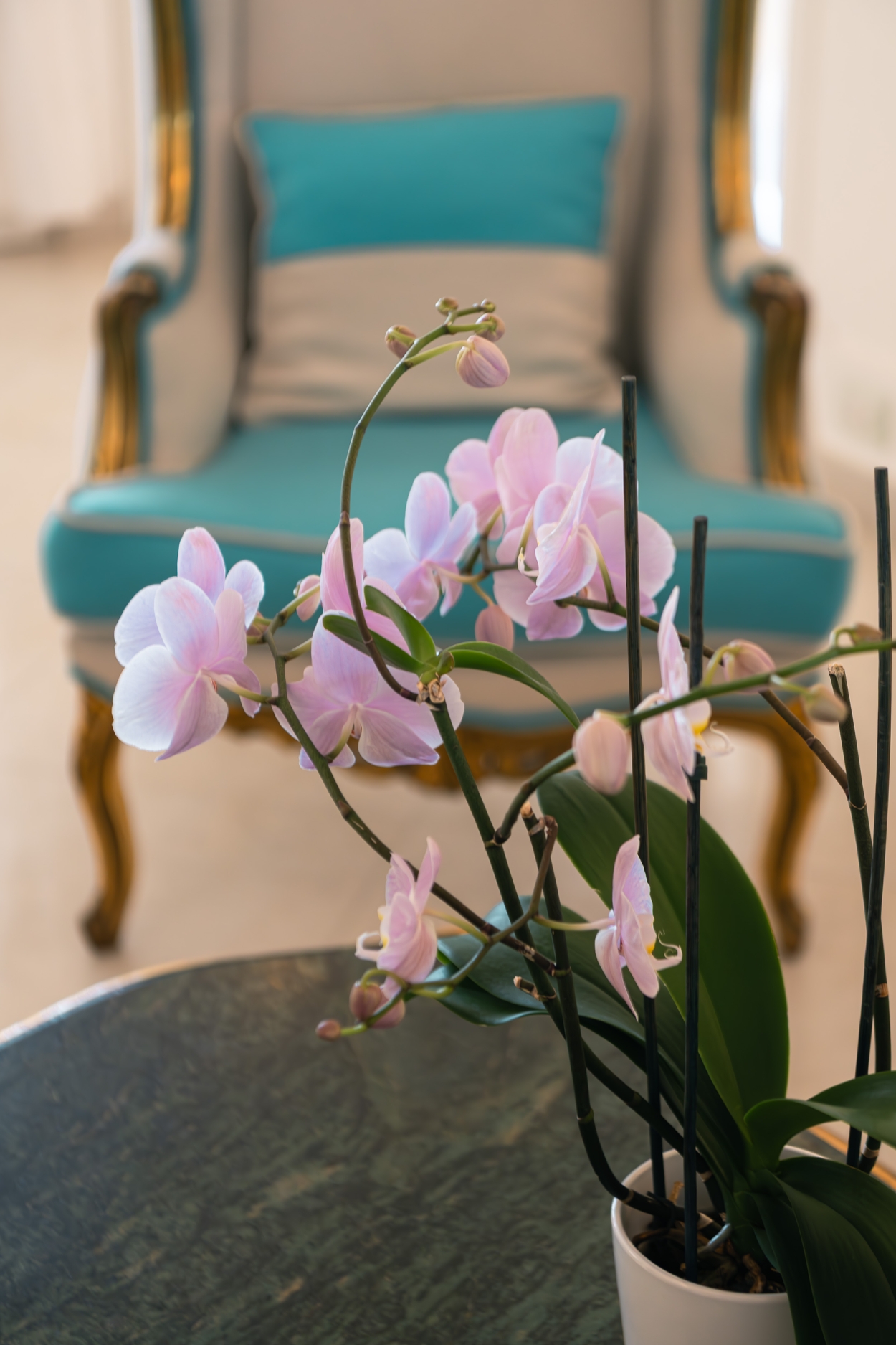 Conca D'oro Hotel, photo 13 of 46