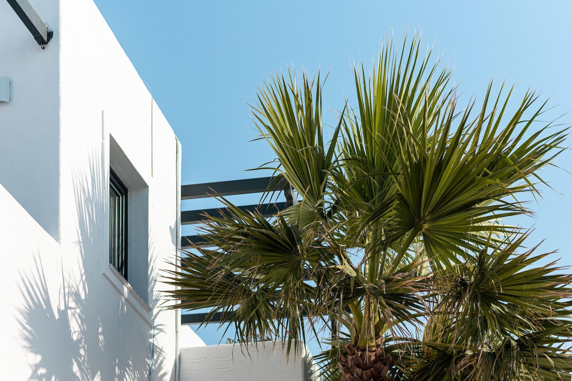 Sandaya Luxury Suites, photo 11 of 225