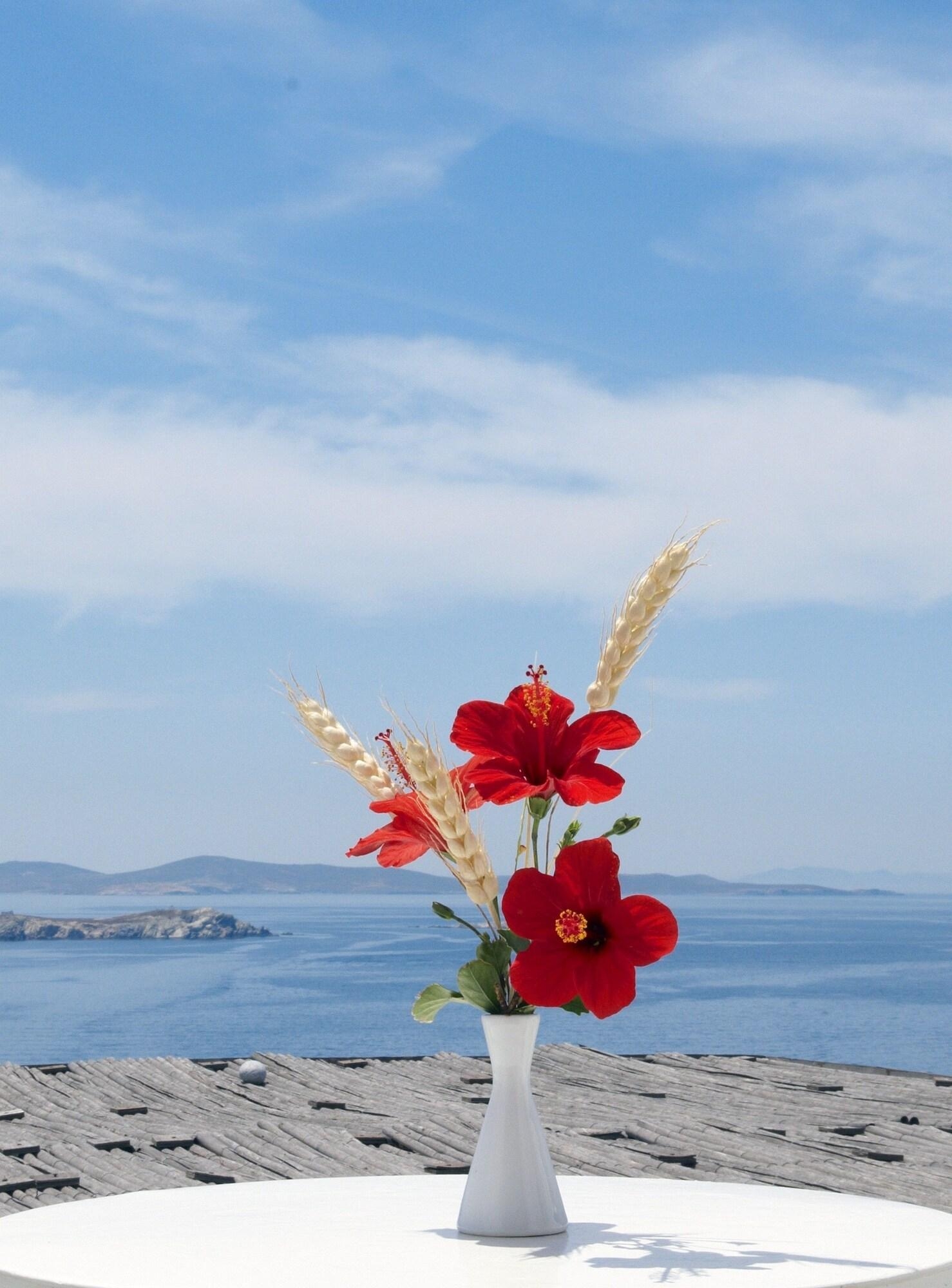 Mykonos View Hotel, photo 32 of 34