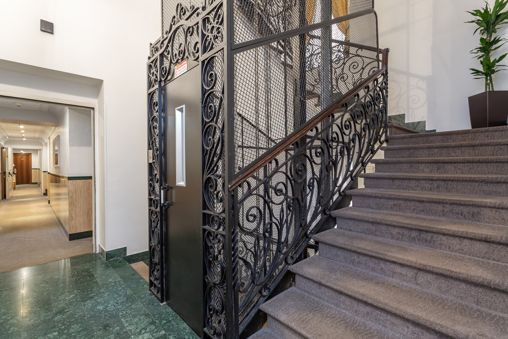 Medici, photo 12 of 24