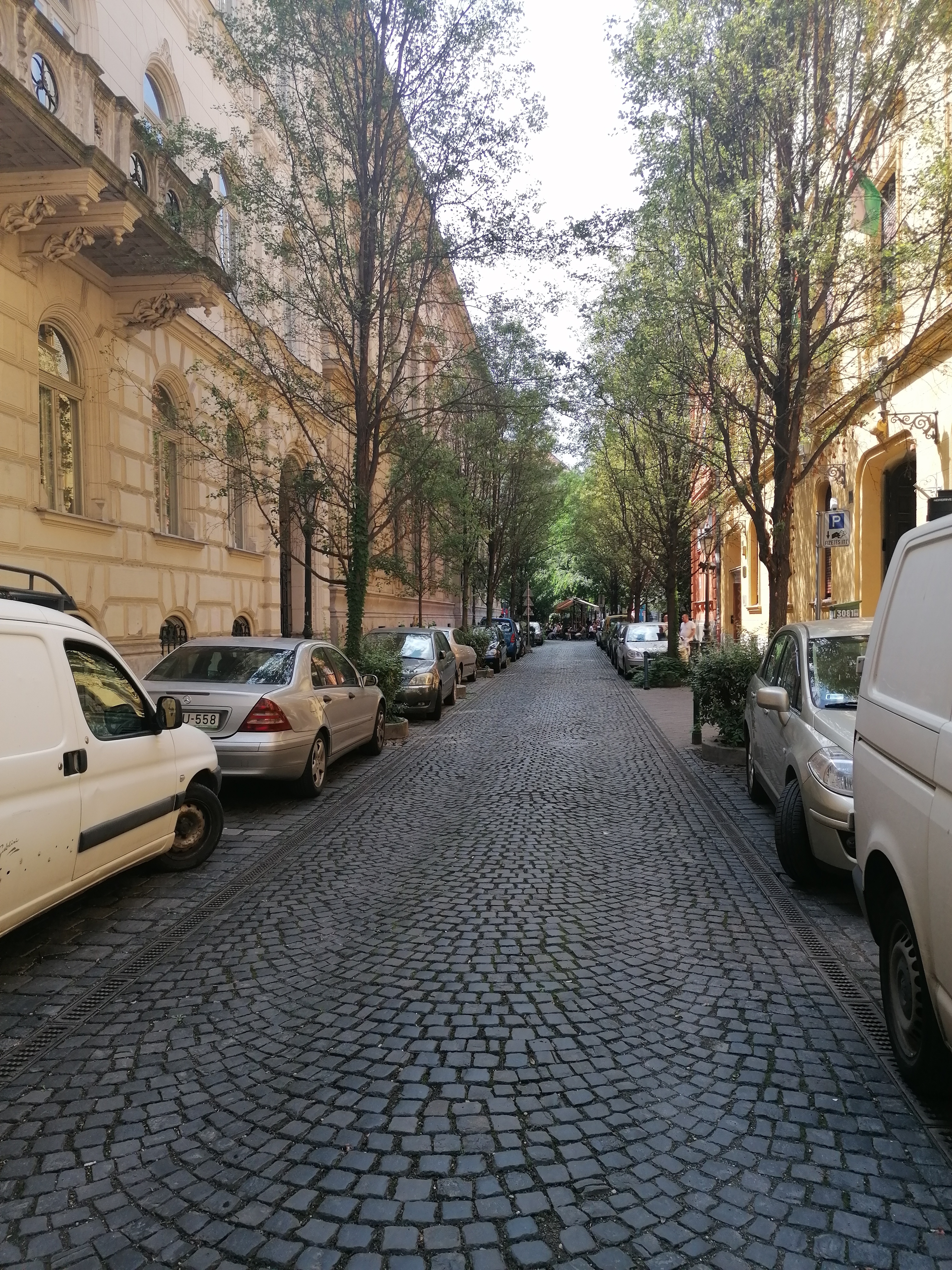 Eurostars Palazzo Zichy, photo 8 of 53