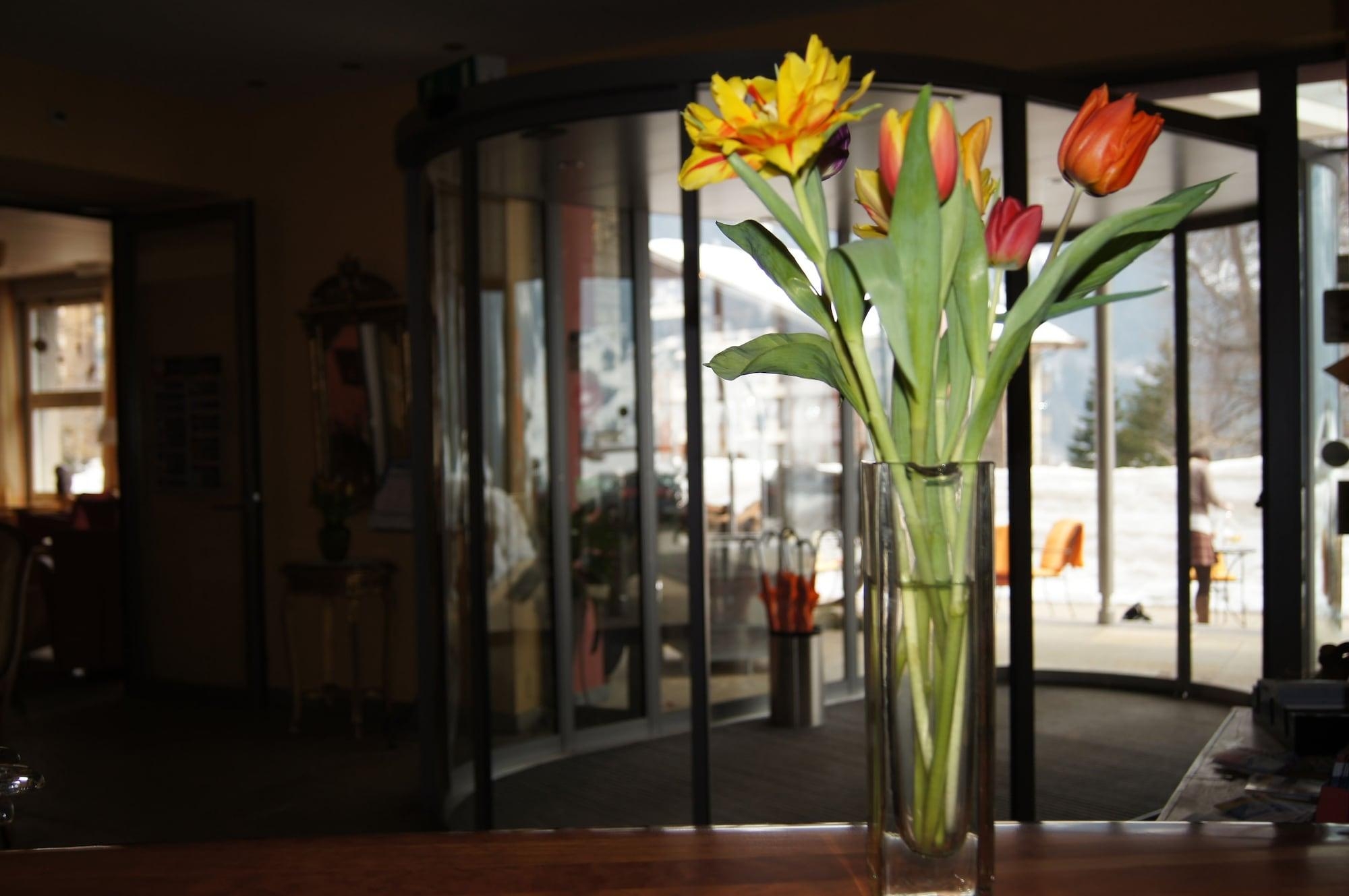 Parkhotel Schoenegg, photo 26 of 116