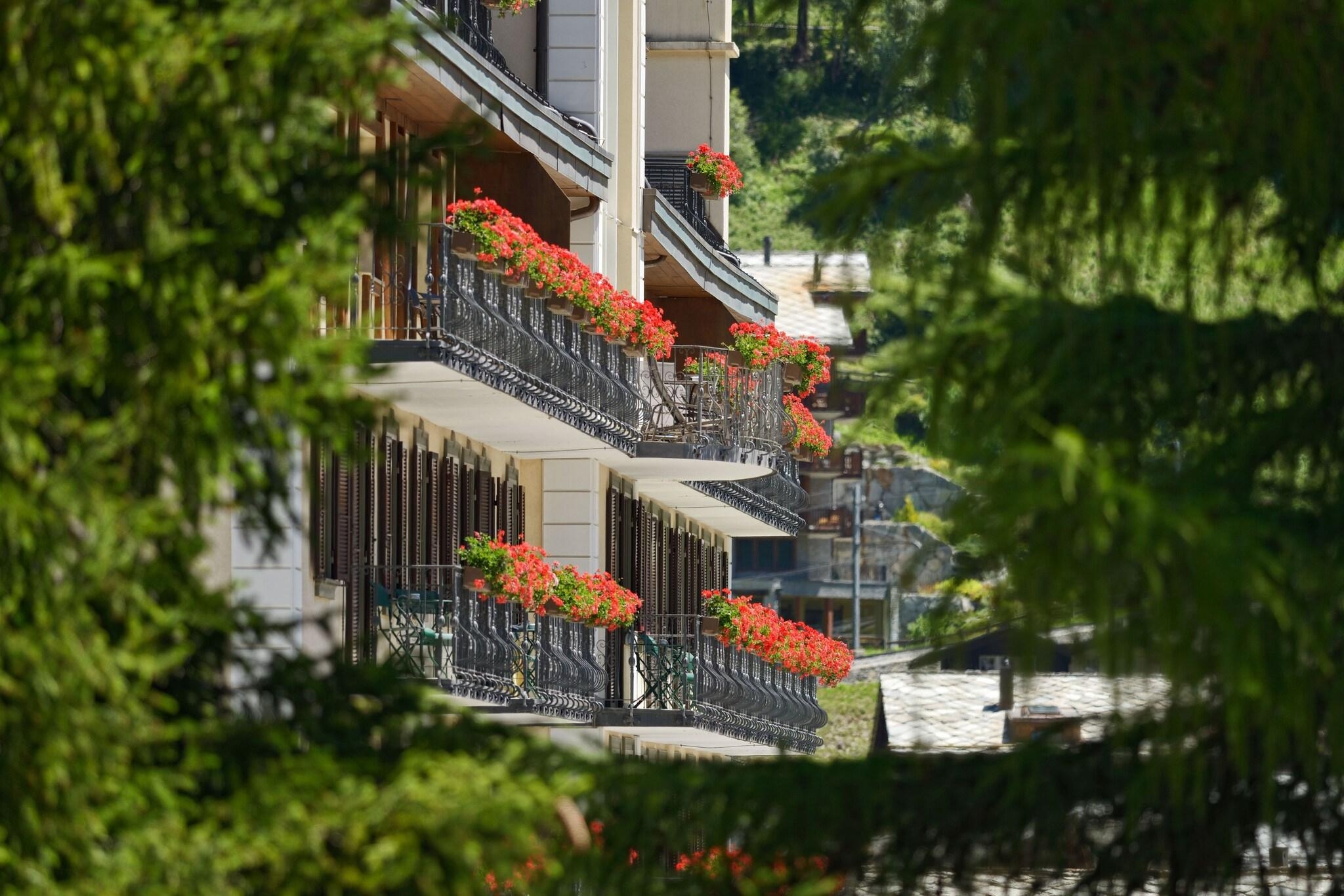 Mont Cervin Palace, photo 15 of 60