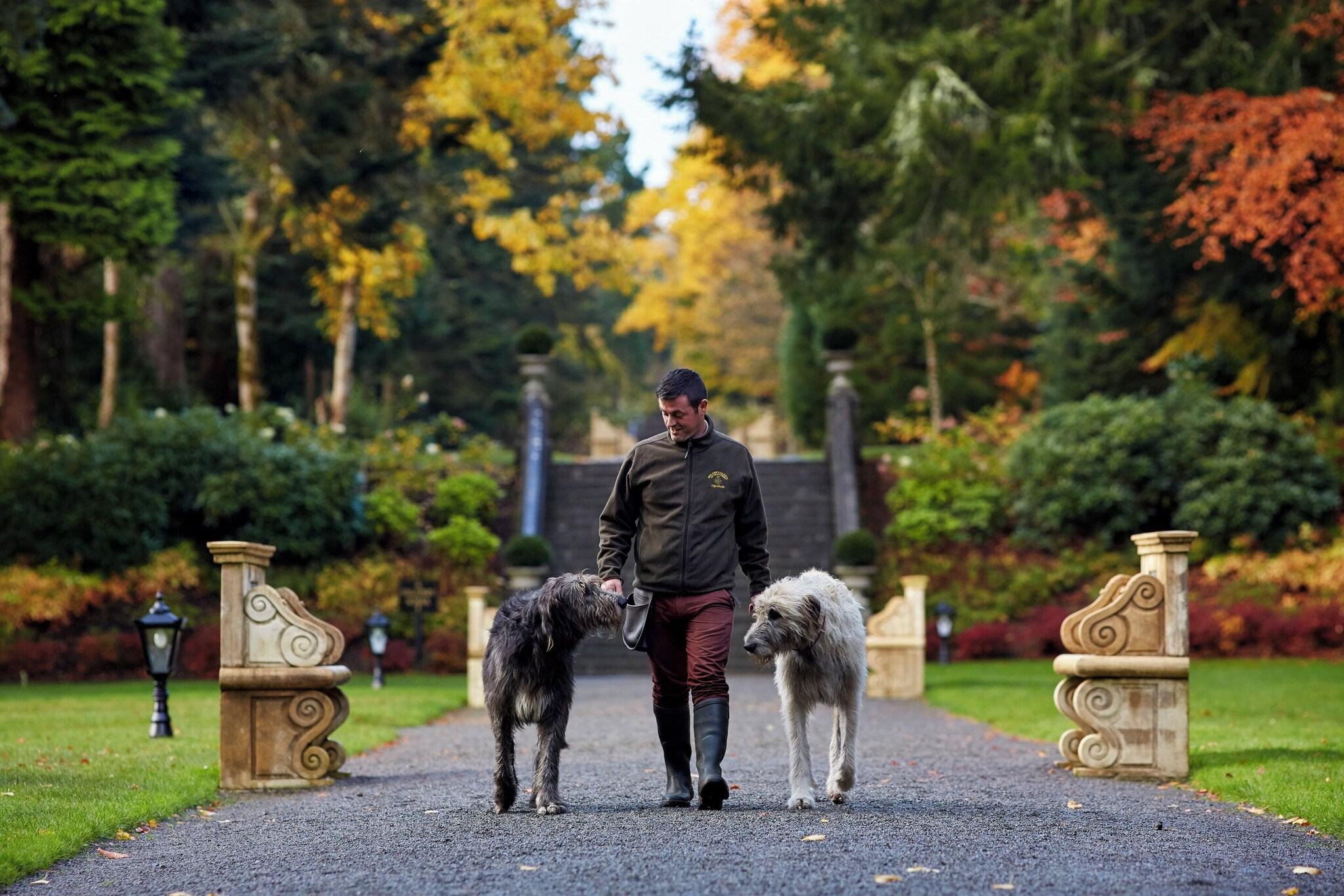 Ashford Castle Hotel, photo 6 of 52