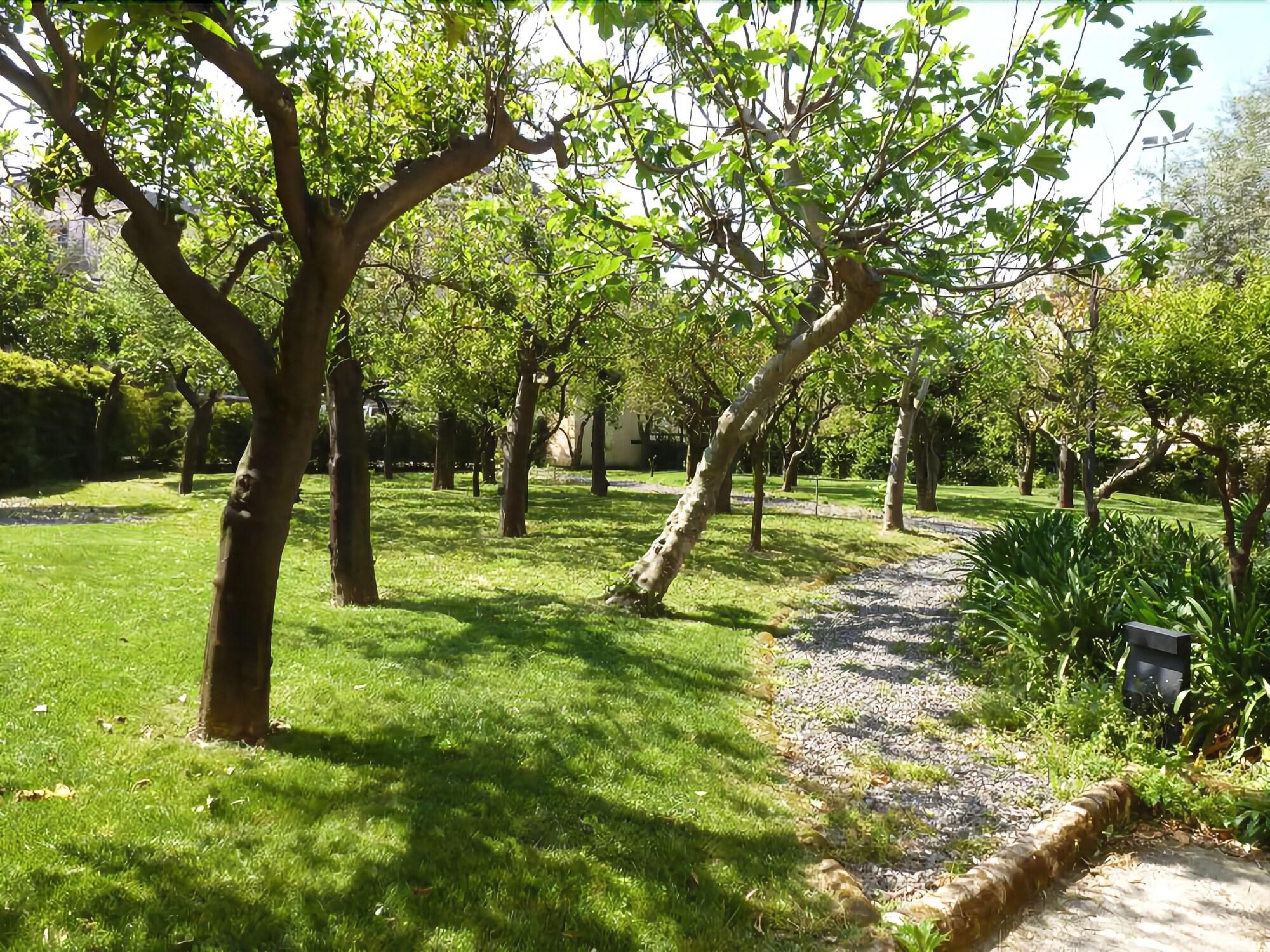 Villa Crawford, photo 4 of 94