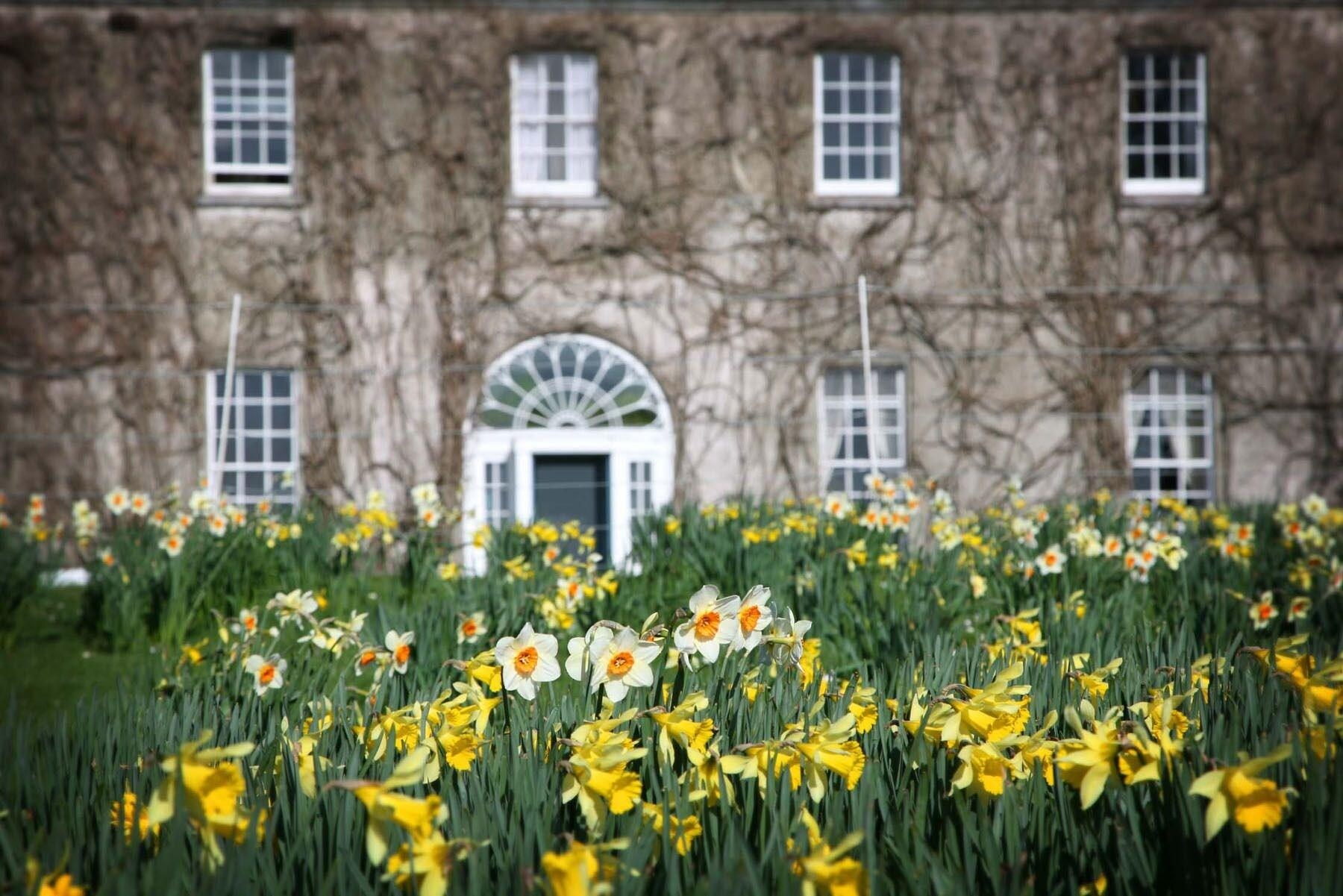 Ballymaloe House Hotel, photo 6 of 163