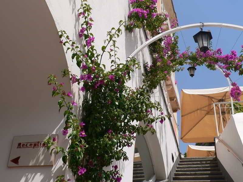 Palazzo Ferraioli, photo 37 of 45