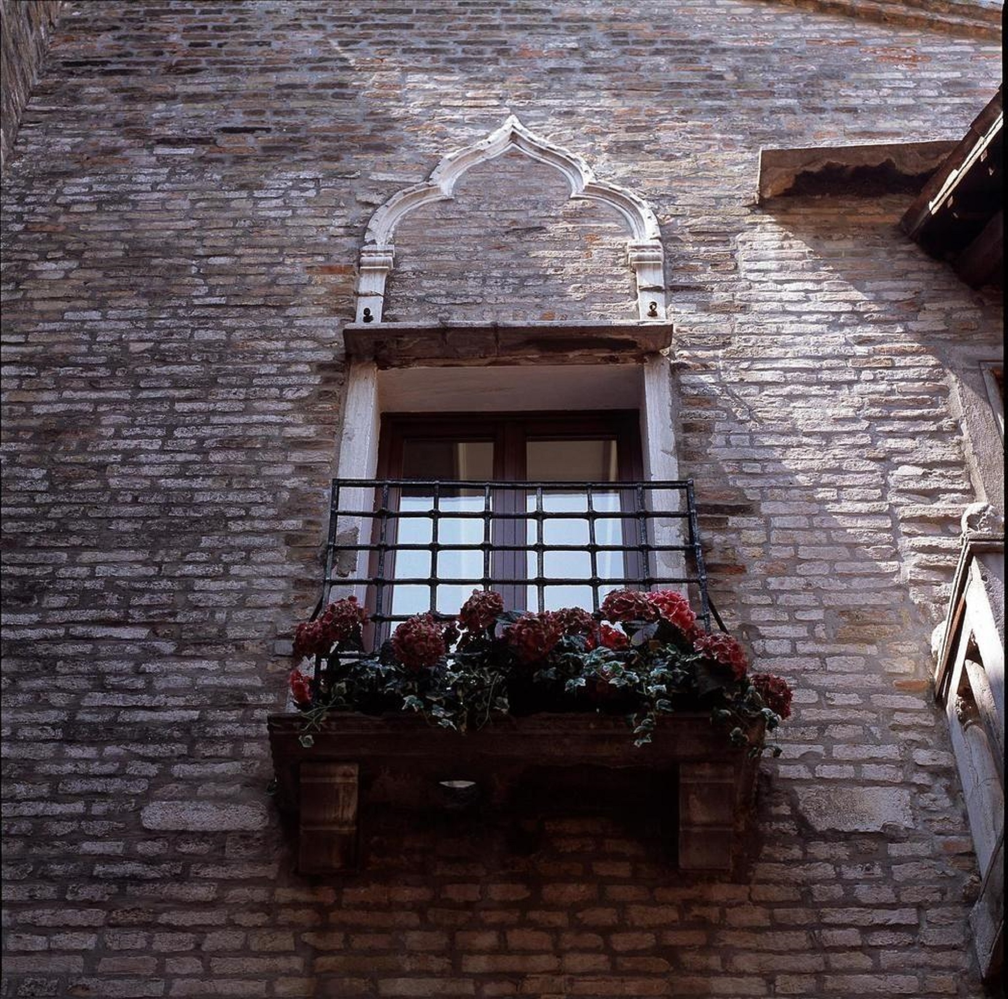 Pausania, photo 2 of 15