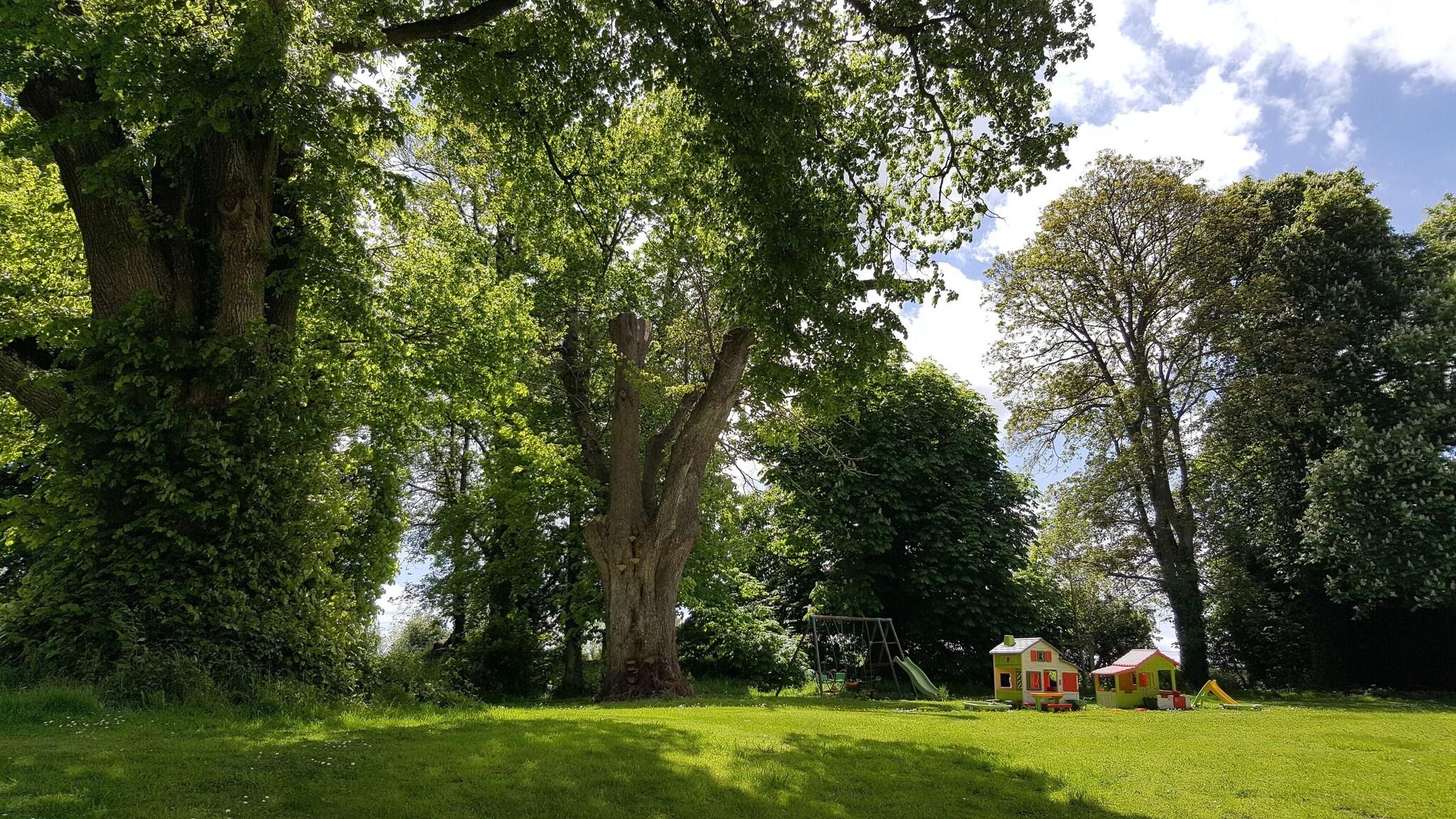 Château de Bellefontaine, photo 86 of 98