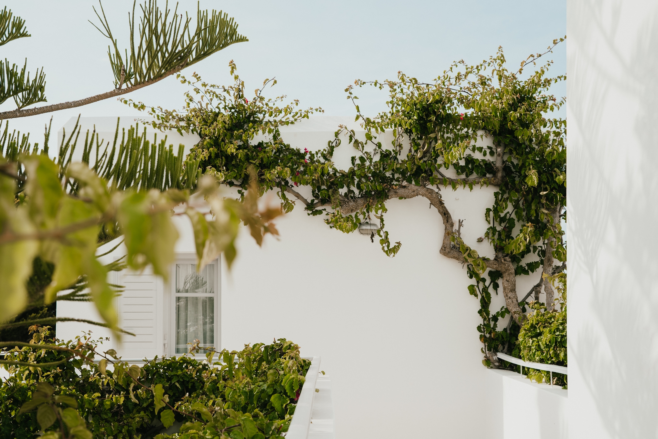 Mr &amp; Mrs White Paros, photo 20 of 60