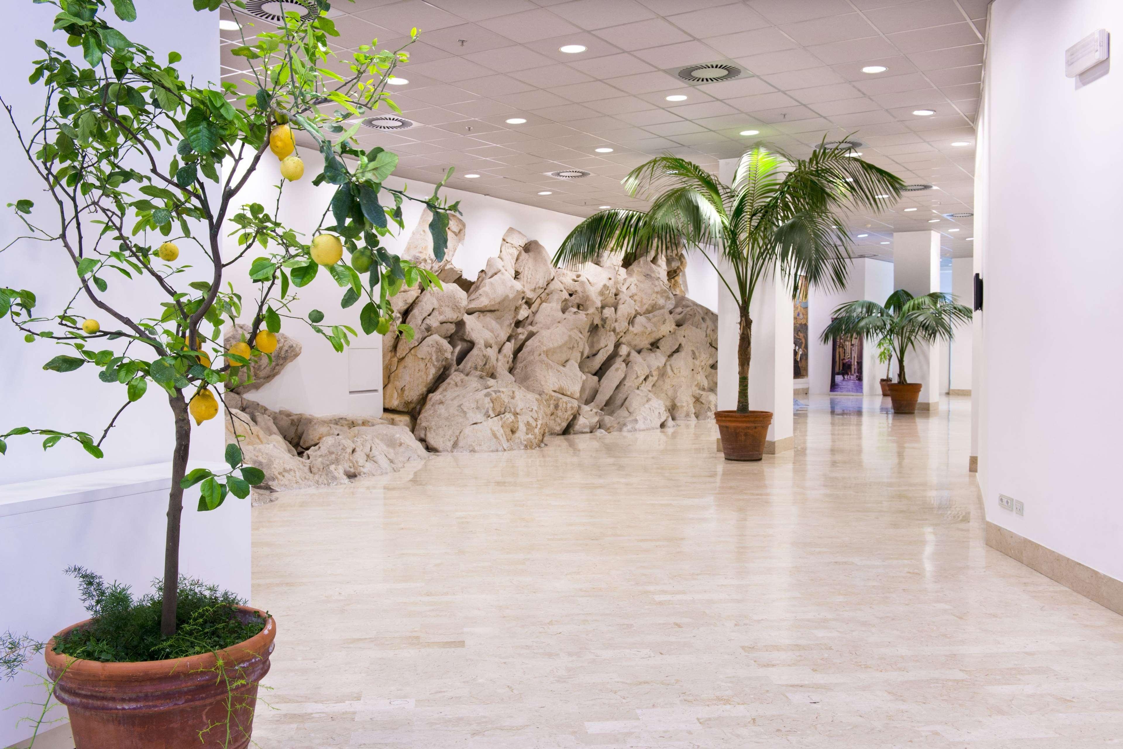 Hilton Sorrento Palace, photo 76 of 94