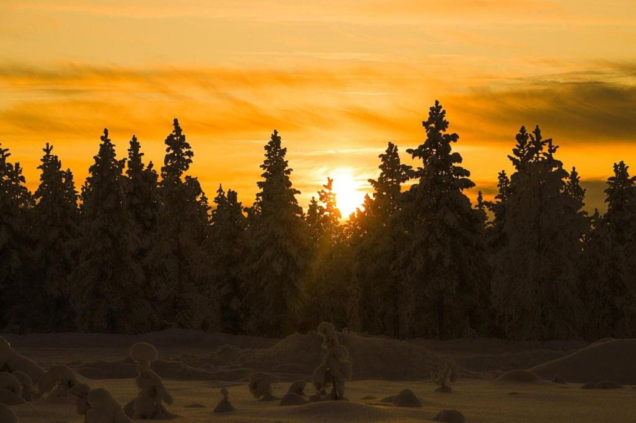 Kakslauttanen Arctic Resort, photo 64 of 70
