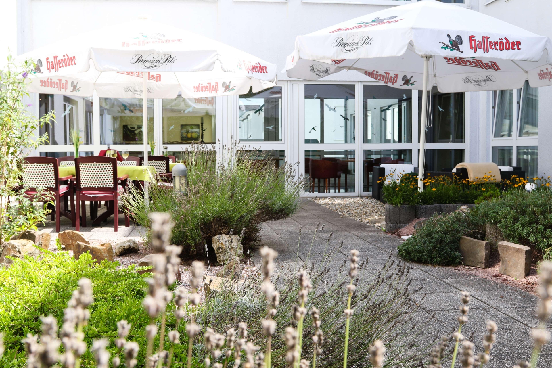 Amedia Hotel Frankfurt-Ruesselsheim by Wyndham, photo 27 of 40