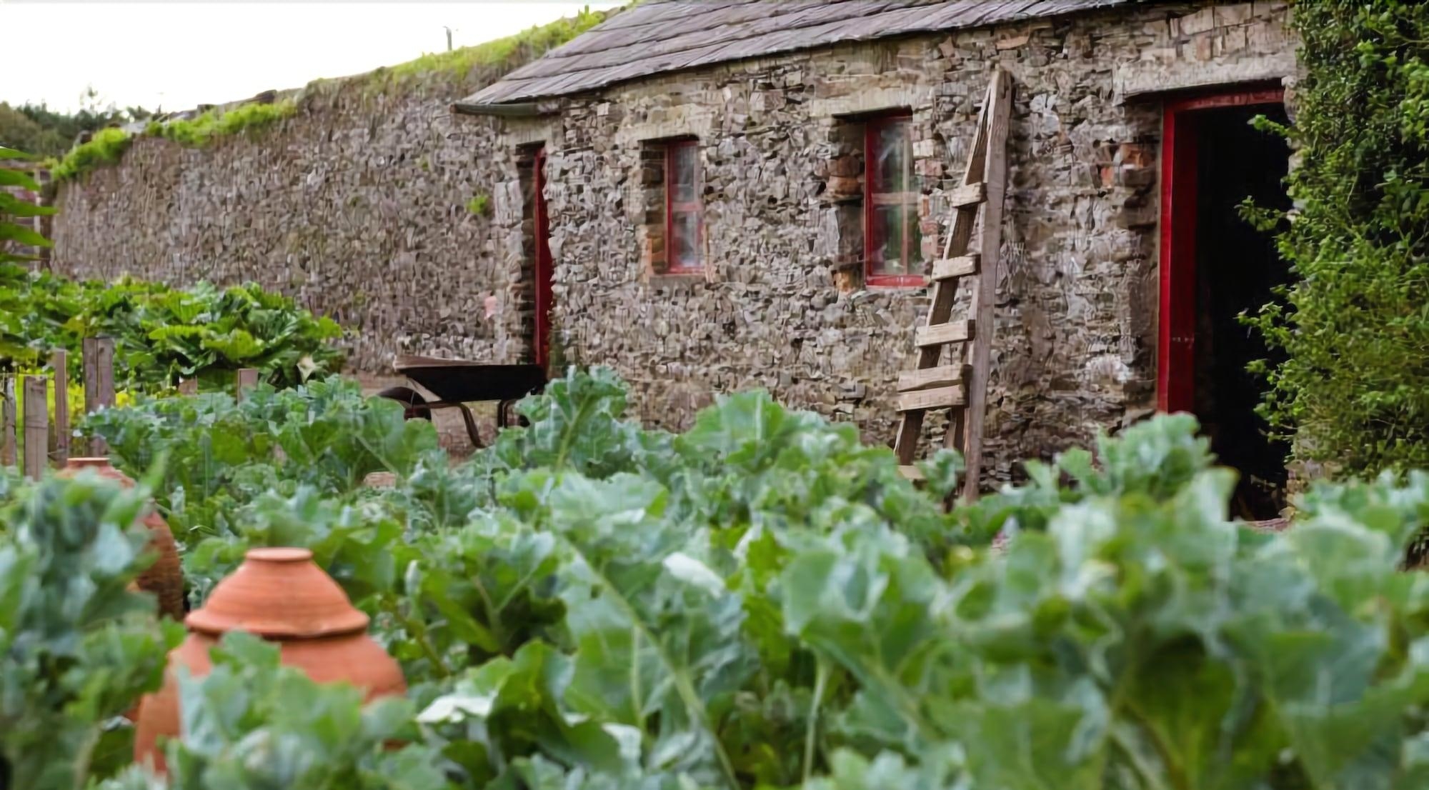 Ballymaloe House Hotel, photo 11 of 163
