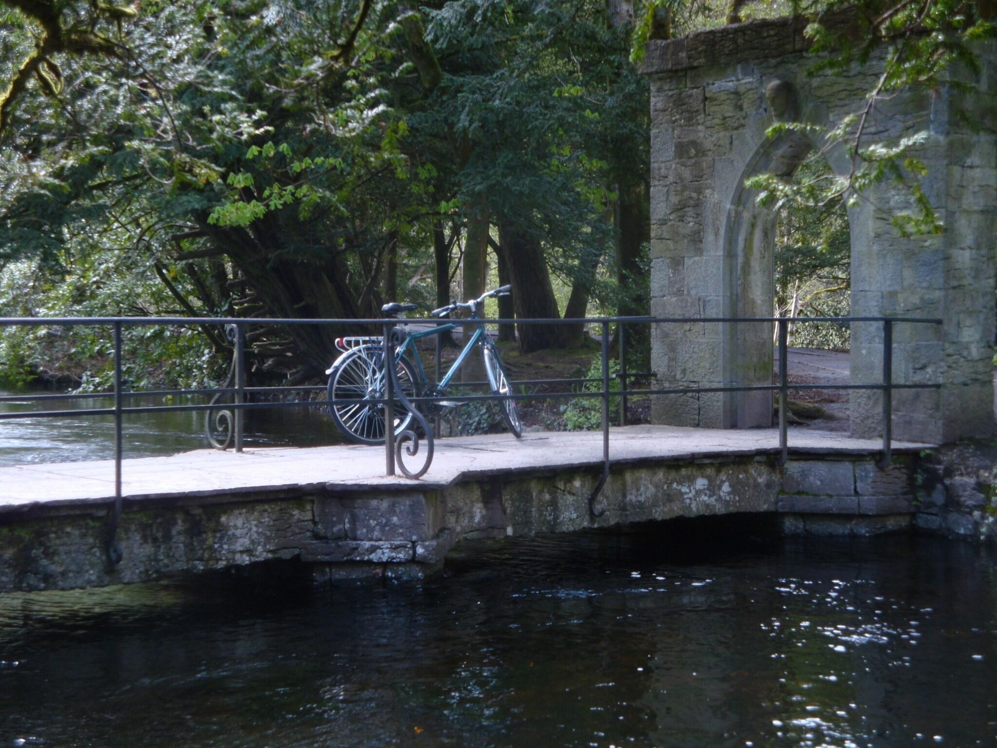 Ashford Castle Hotel, photo 41 of 52