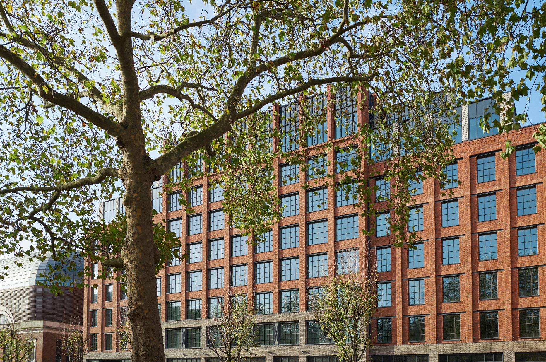 The Hoxton Shepherd's Bush