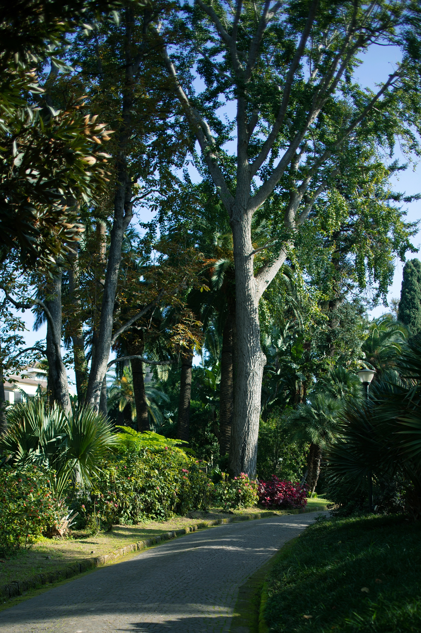 Parco dei Principi, photo 29 of 91
