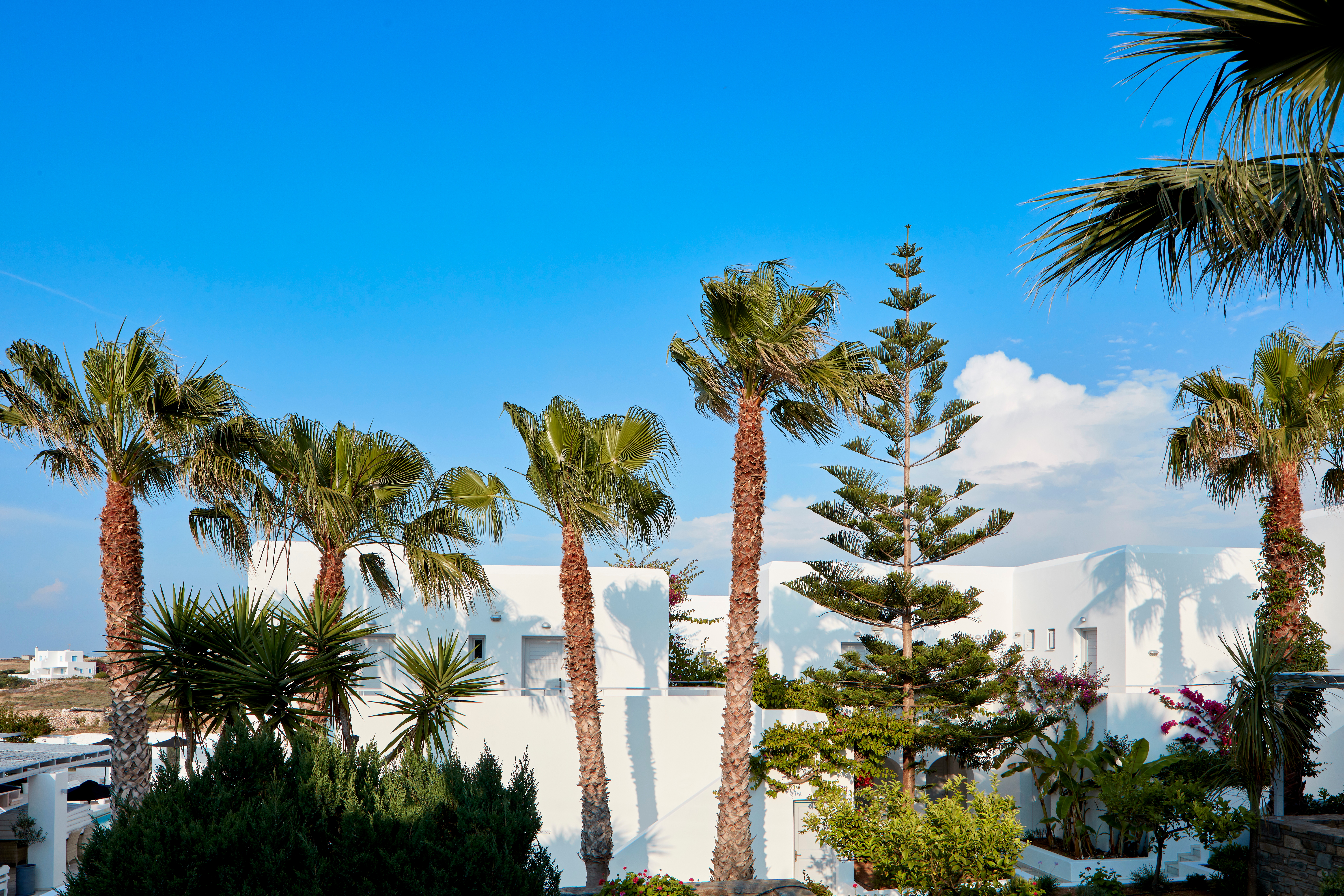 Mr &amp; Mrs White Paros, photo 8 of 60