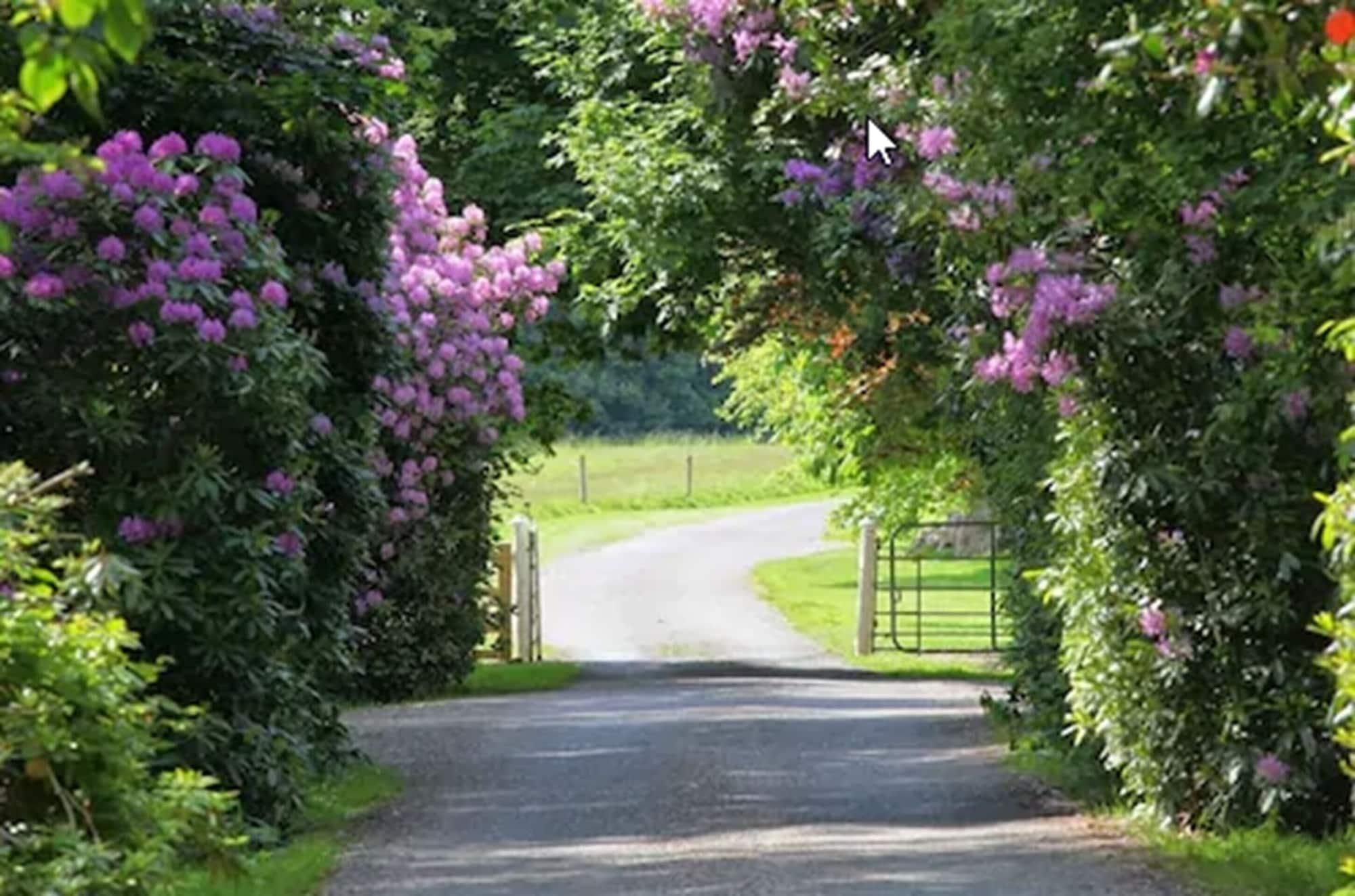 Ballymaloe House Hotel
