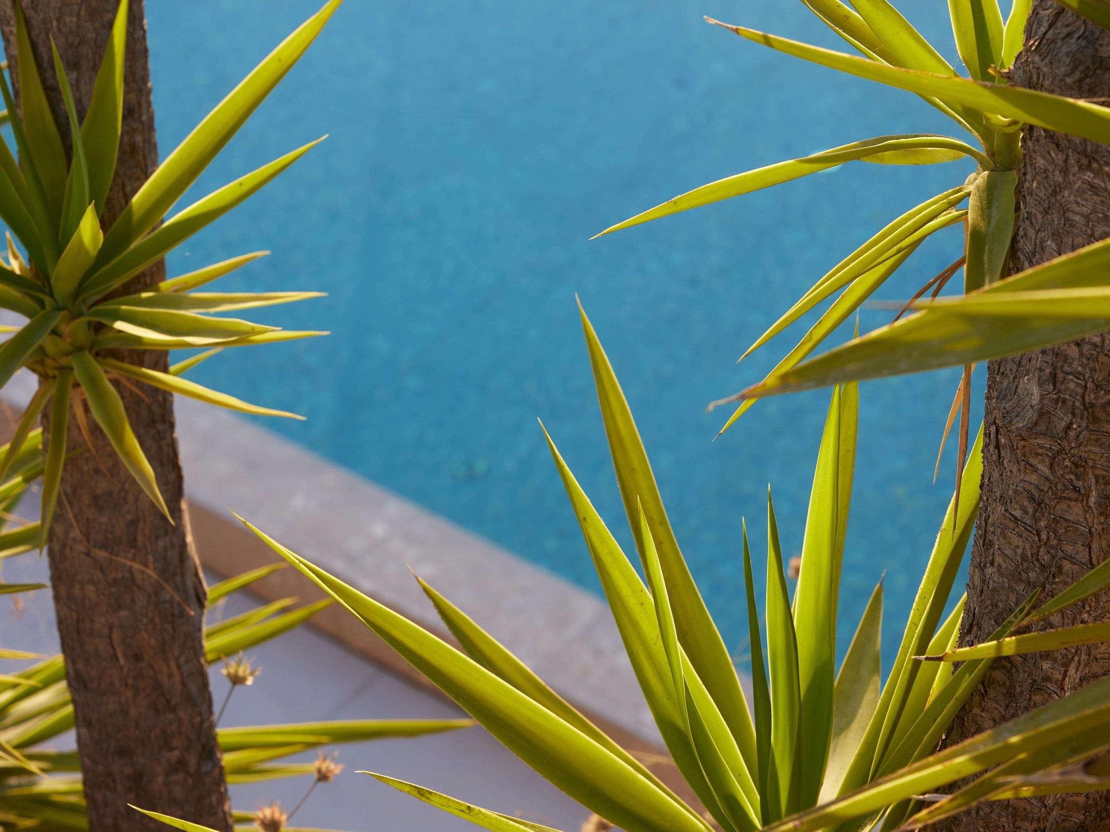 The Roc Club, A Grecotel Hotel to Live, photo 18 of 32