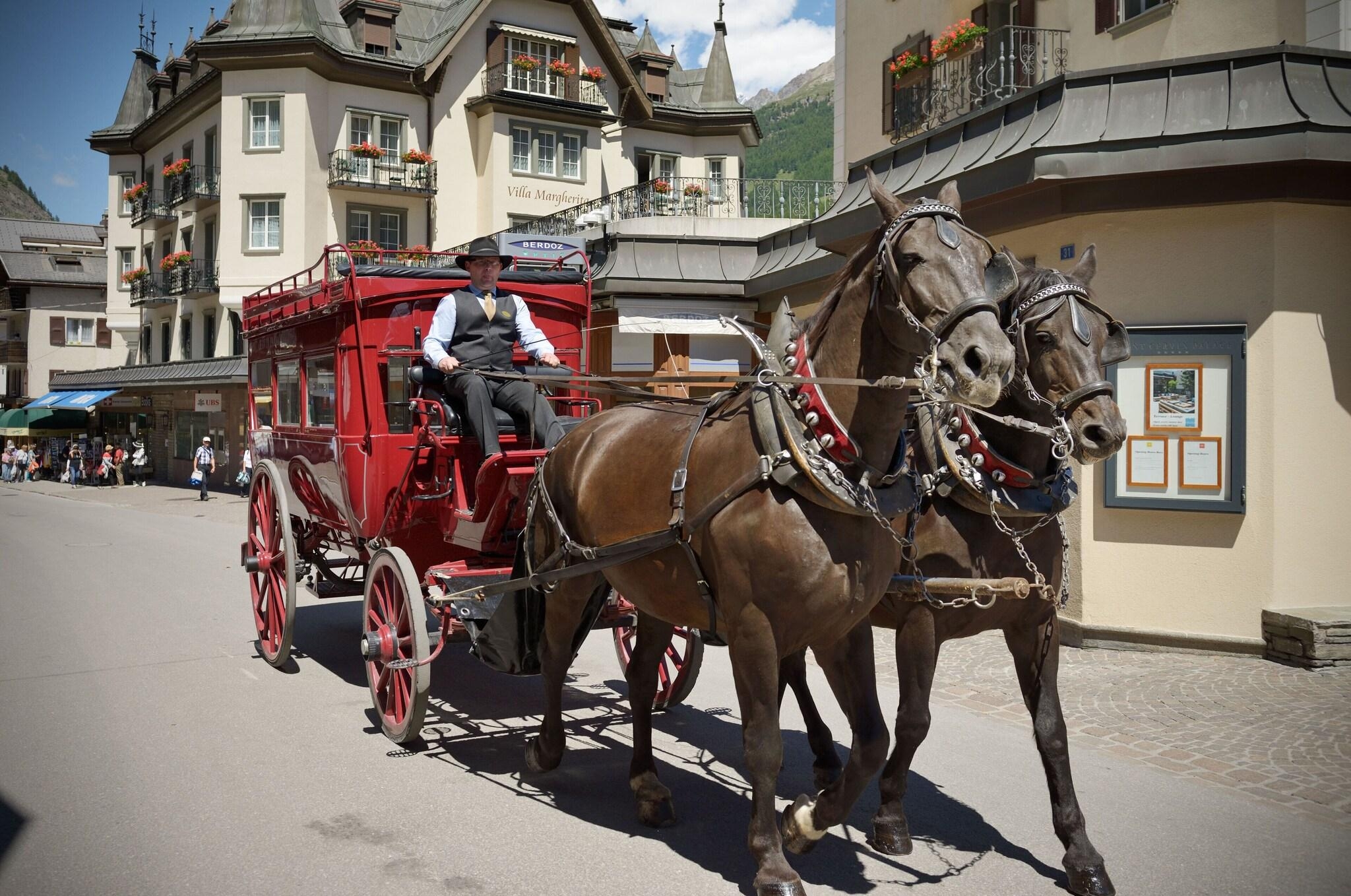 Mont Cervin Palace, photo 20 of 60