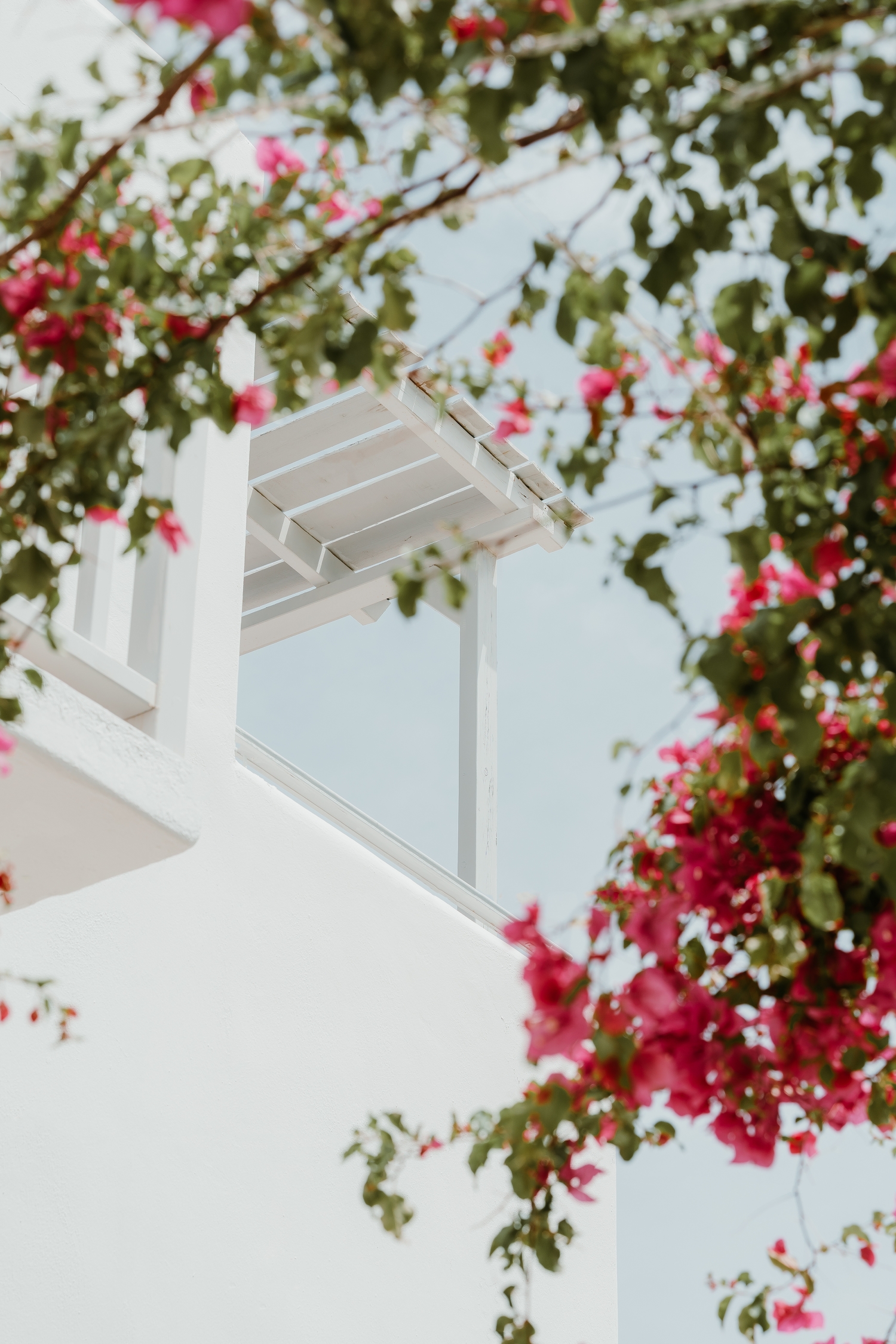 Mr &amp; Mrs White Paros, photo 19 of 60