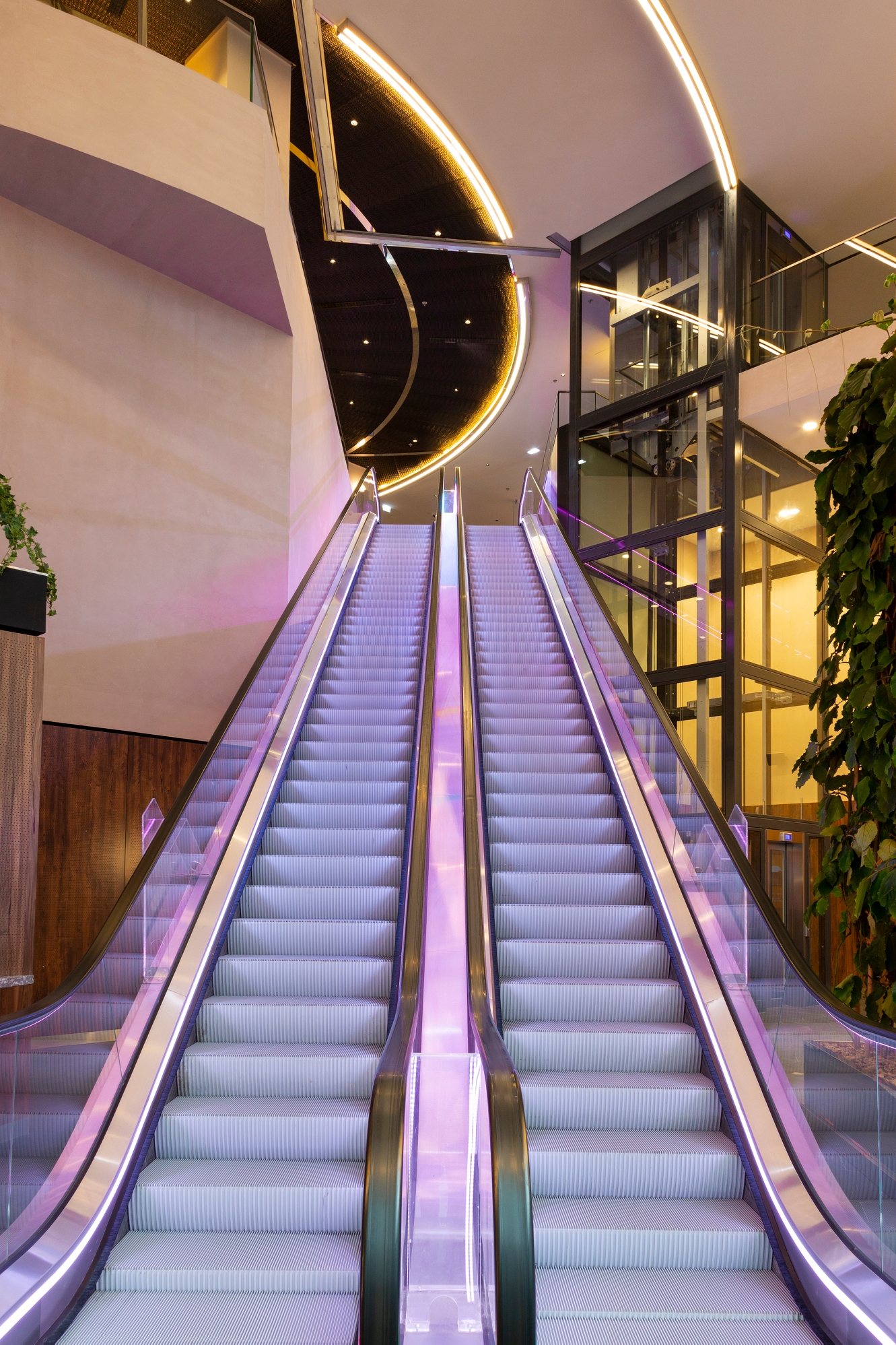 Pullman Paris Montparnasse, photo 42 of 199