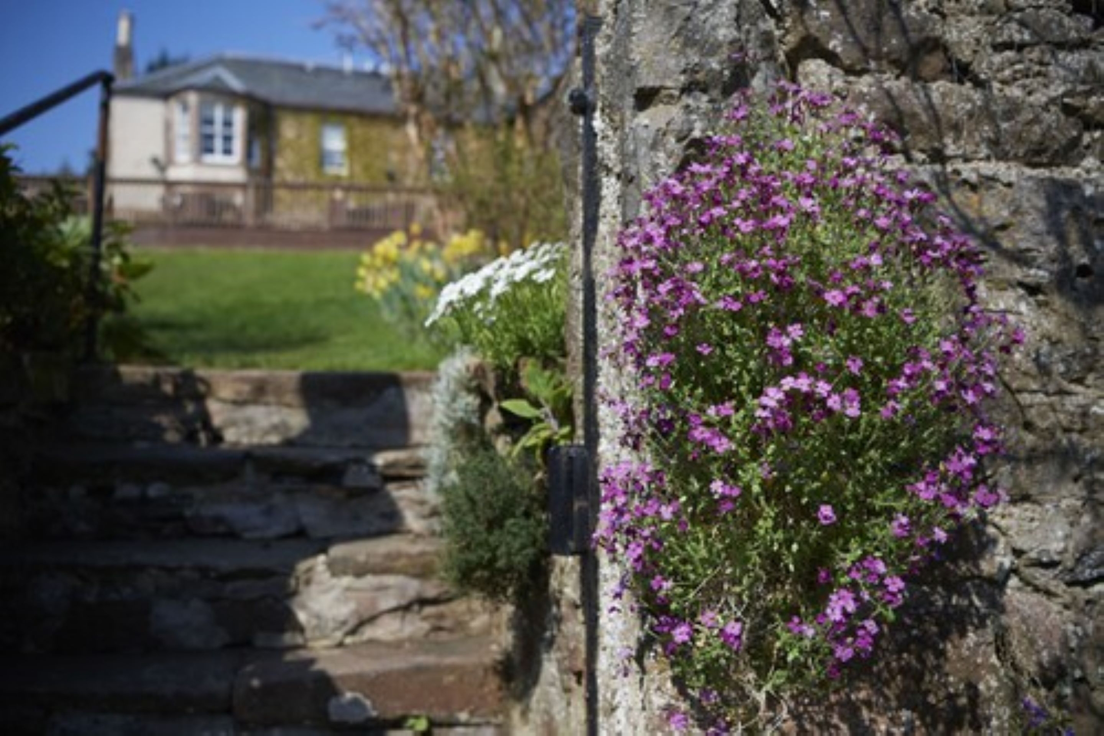 Loch Ness Country House Hotel, photo 6 of 19