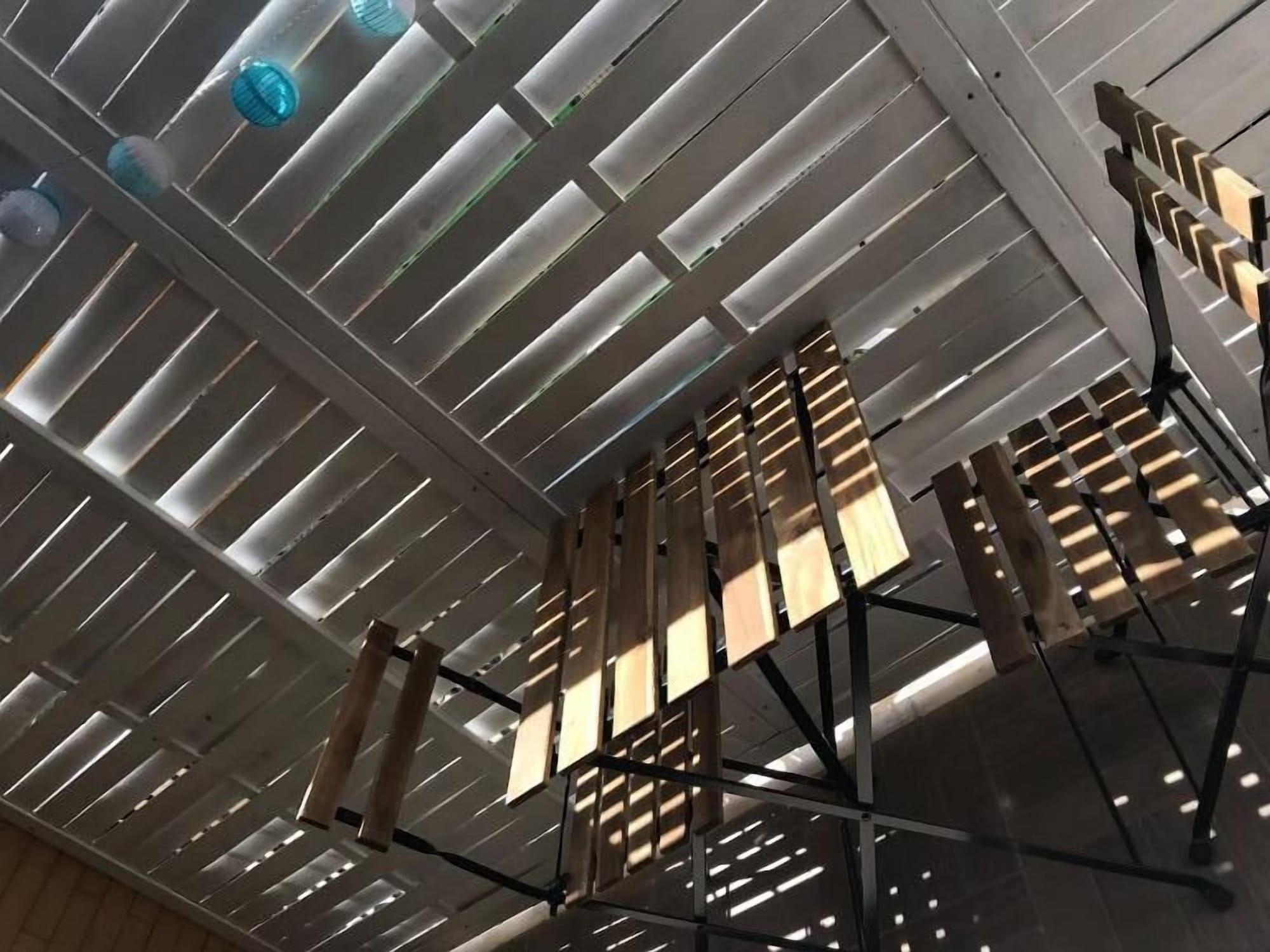 Raya 28, photo 5 of 41