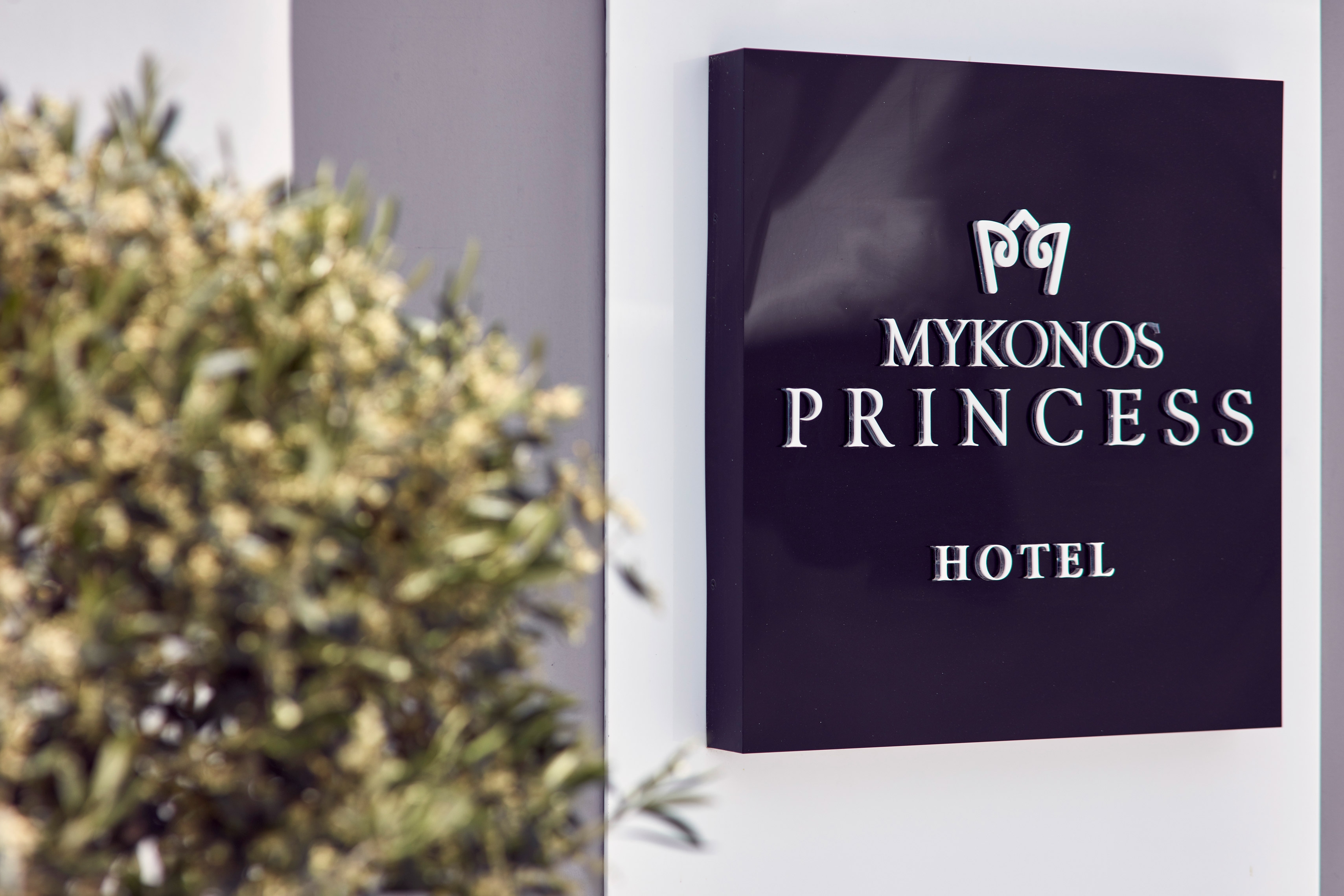 Mykonos Princess Hotel, photo 1 of 110