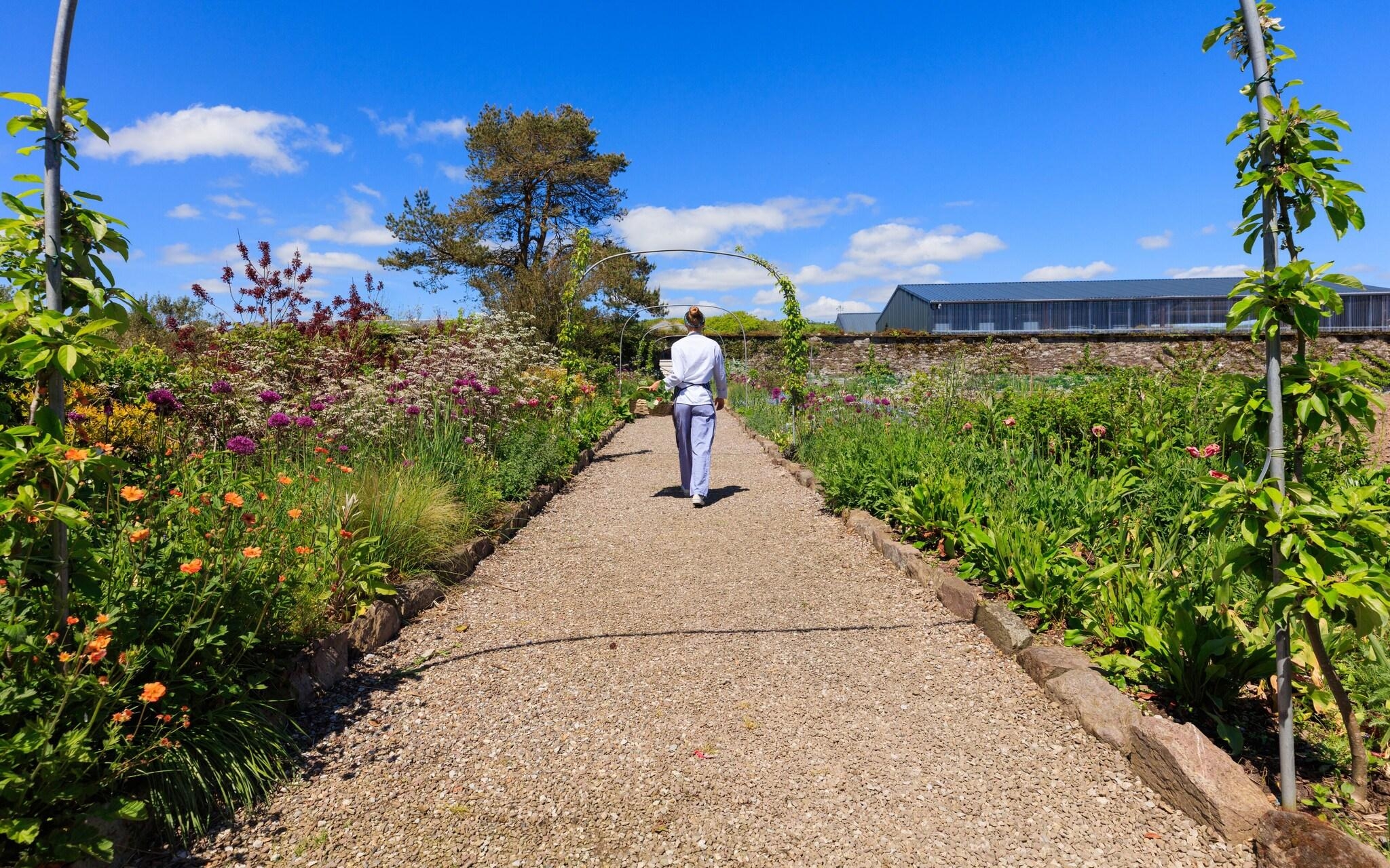 Ballymaloe House Hotel, photo 36 of 163
