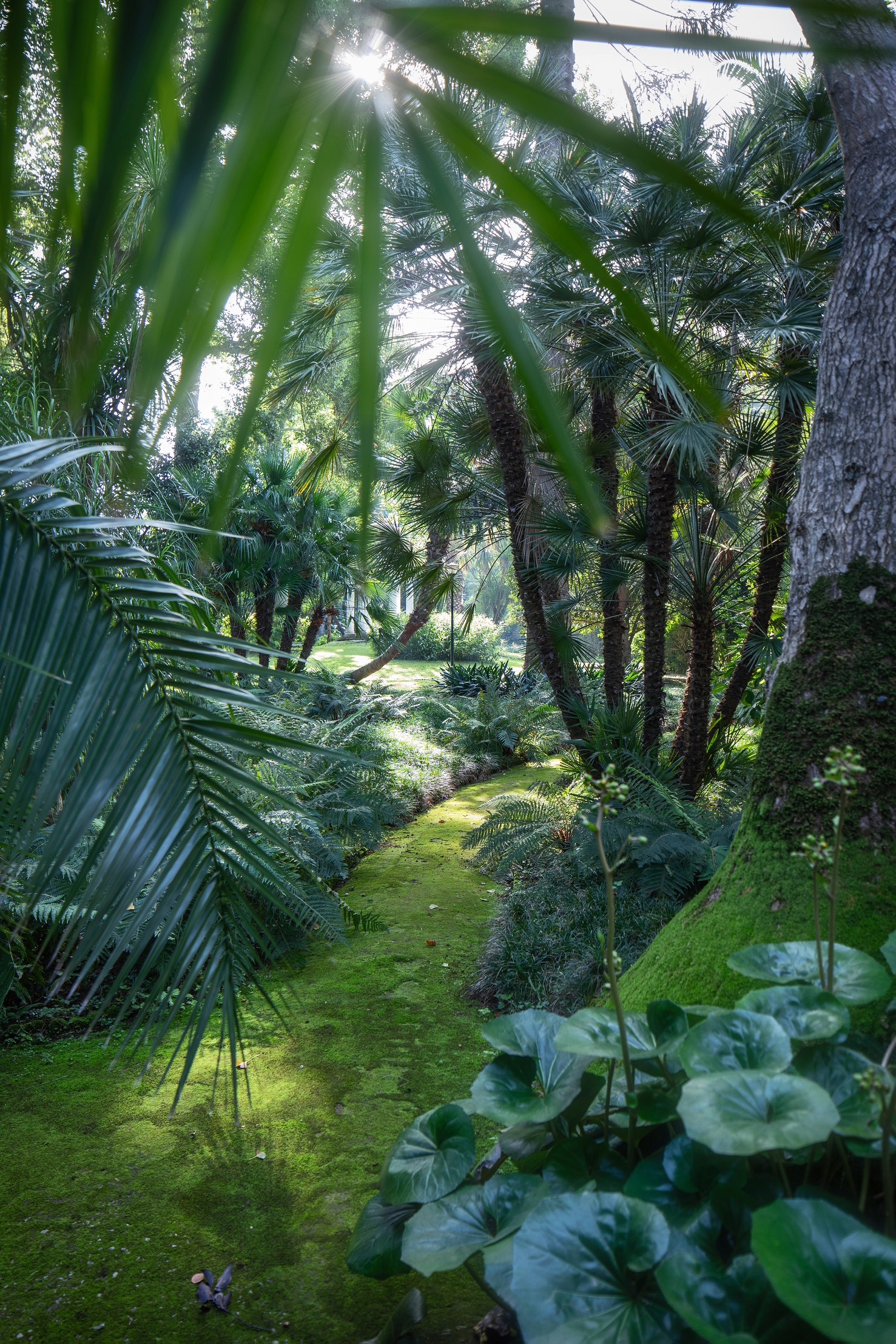 Parco dei Principi, photo 30 of 91