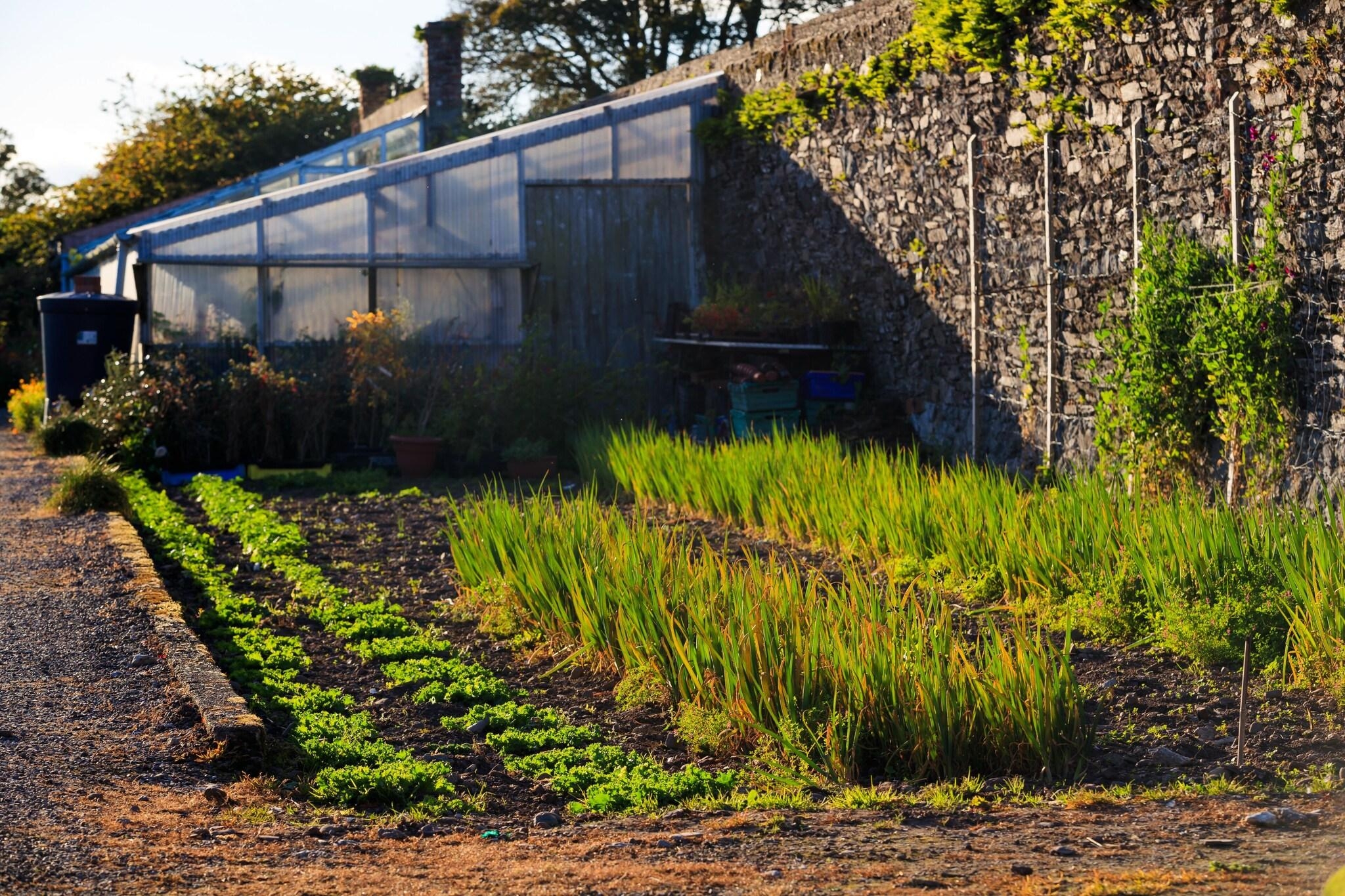 Ballymaloe House Hotel, photo 31 of 163