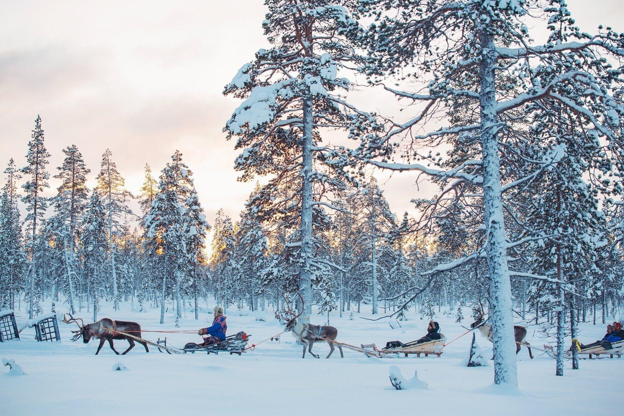Kakslauttanen Arctic Resort, photo 49 of 70