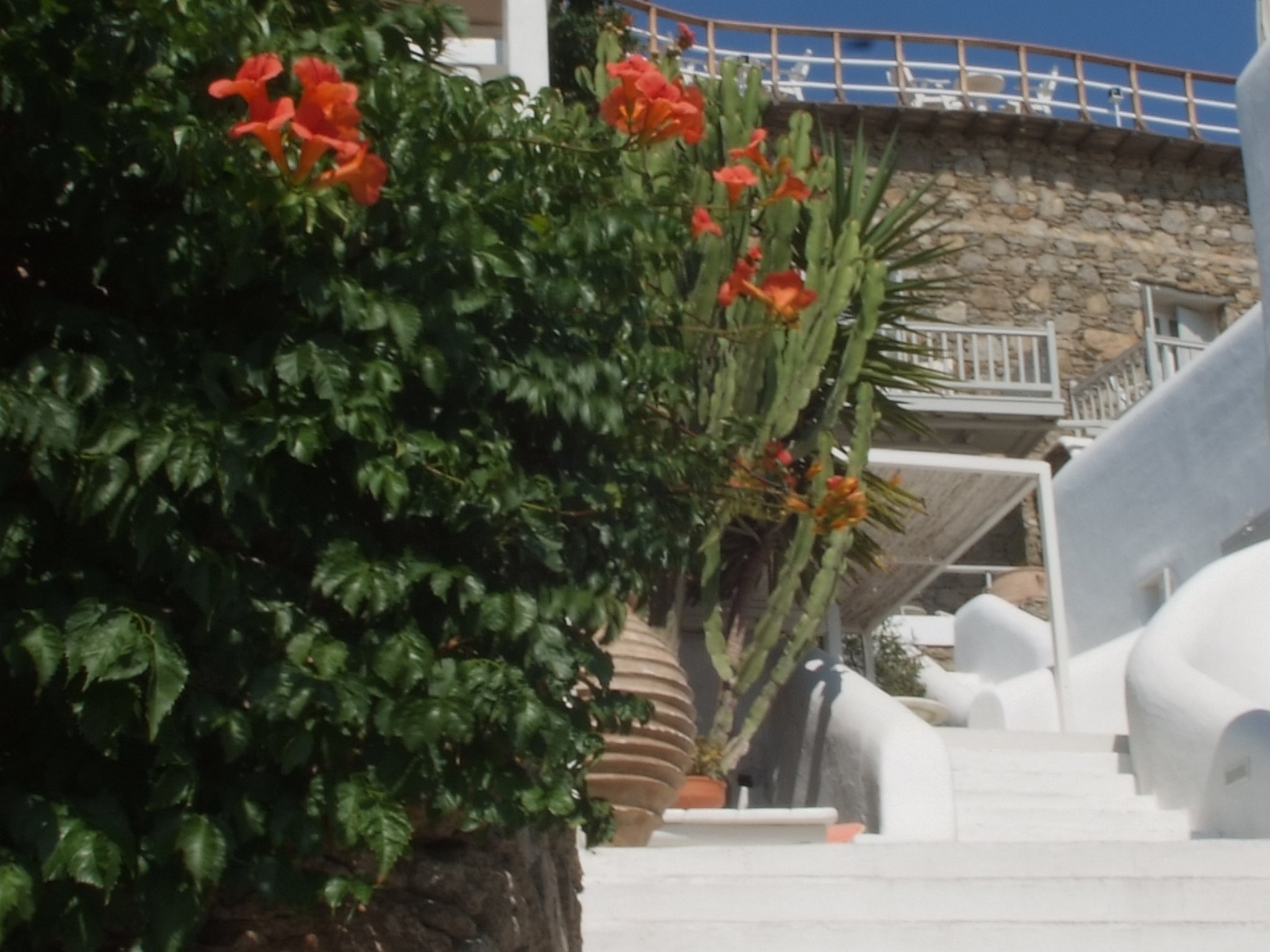 Mykonos View Hotel, photo 3 of 34