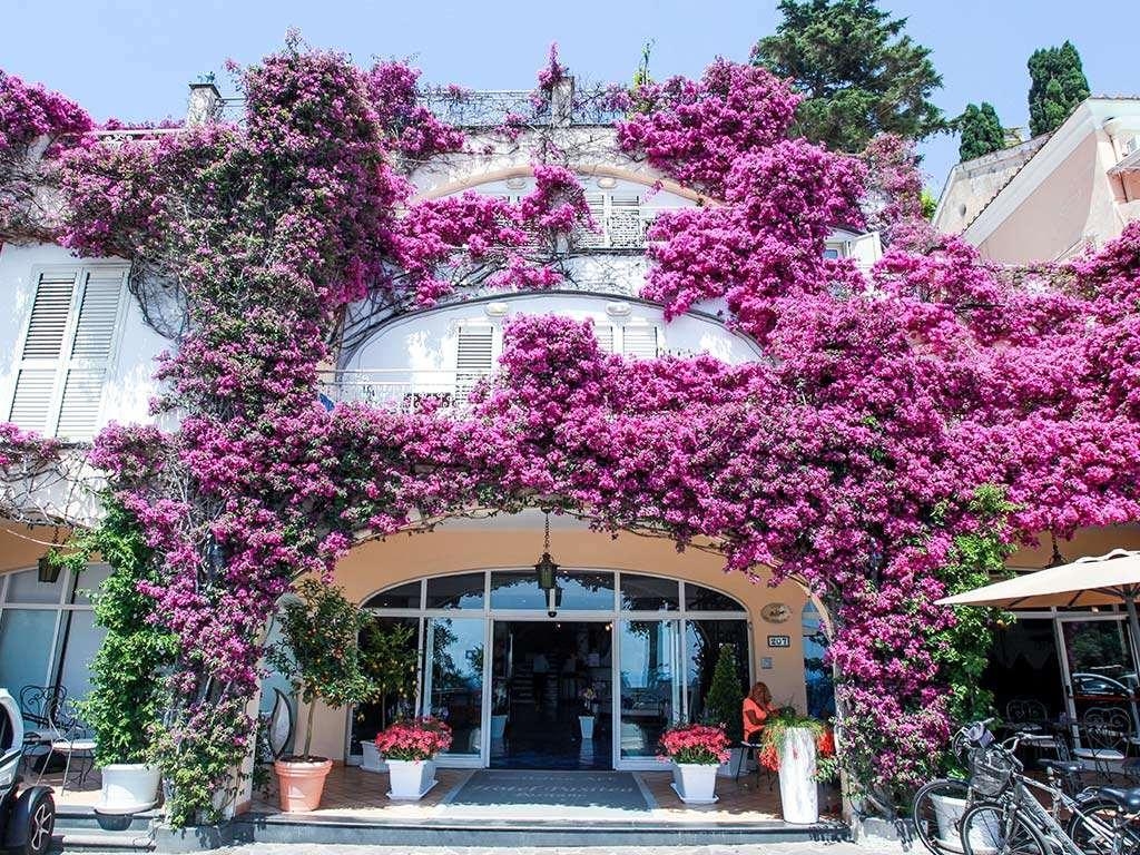 Positano Art Hotel Pasitea, photo 22 of 71