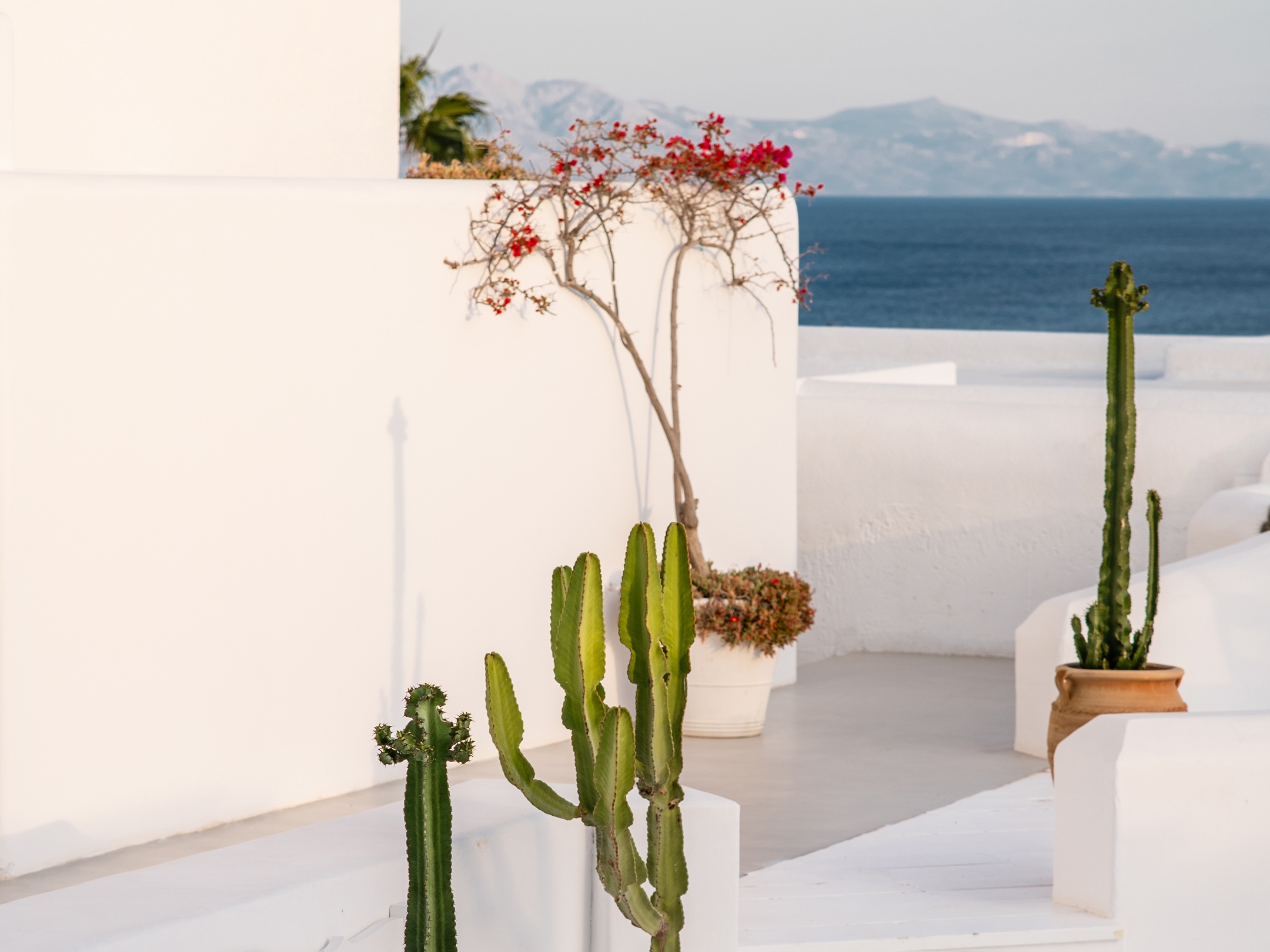 Mykonos Blu, A Grecotel Resort to Live, photo 20 of 67