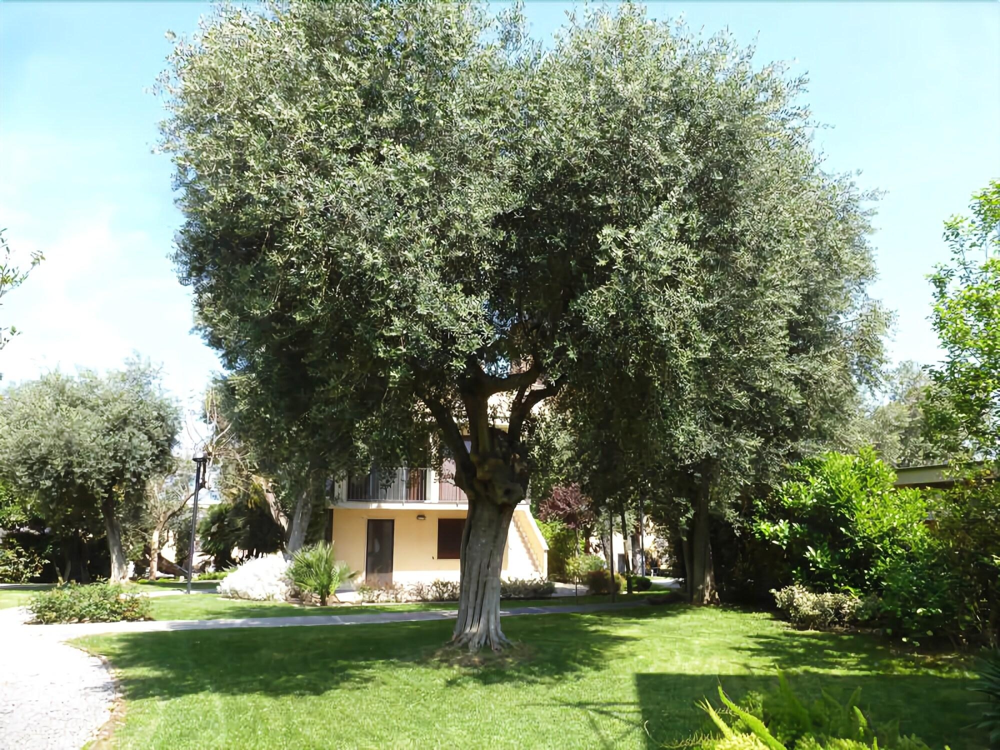 Villa Crawford, photo 8 of 94