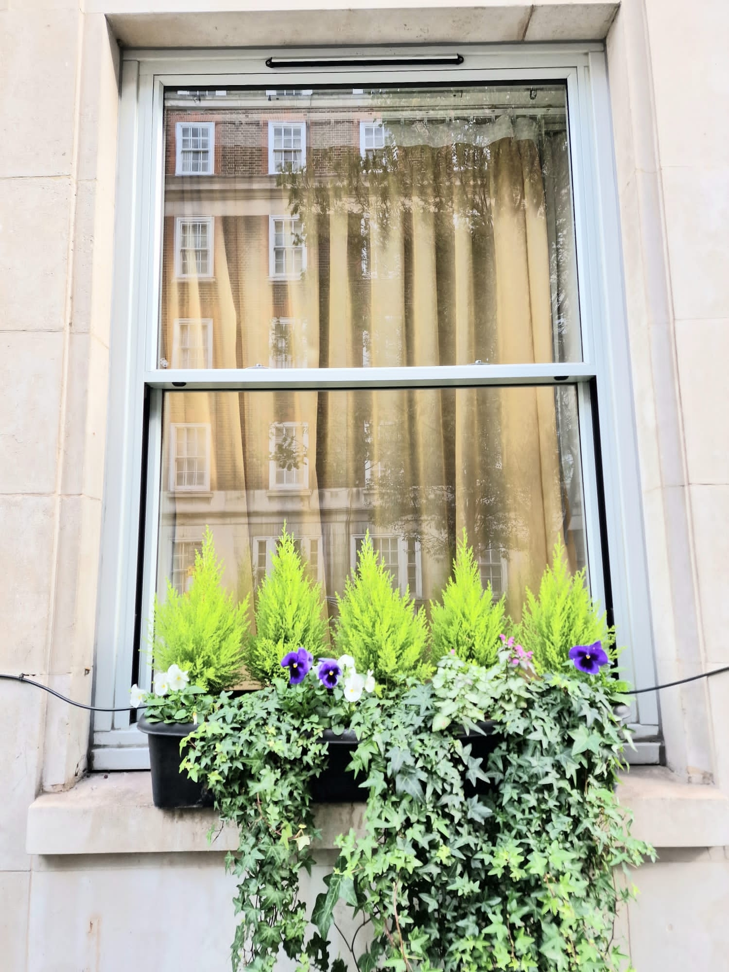 Astor Court Hotel, photo 17 of 26