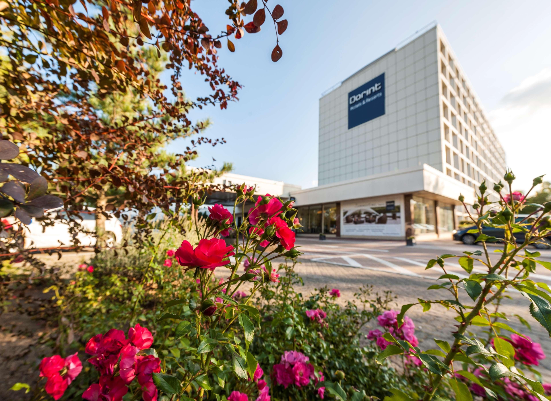 Dorint am Main-Taunus-Zentrum Frankfurt/Sulzbach, photo 6 of 34
